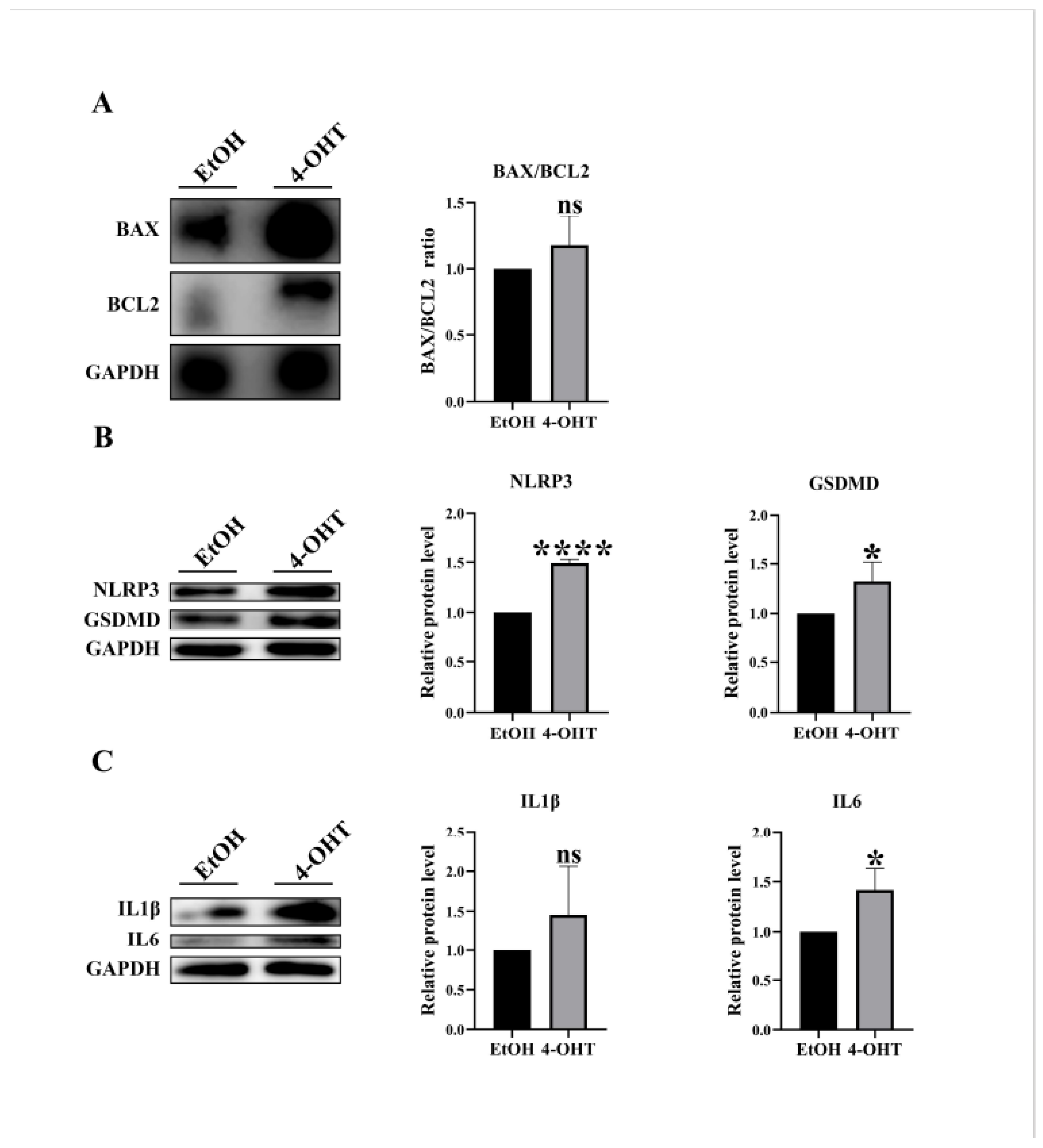 Preprints 165427 g005