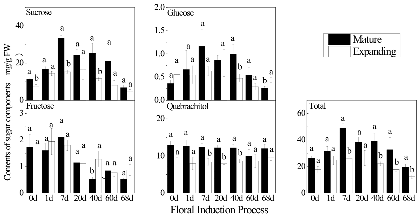 Preprints 228198 g002
