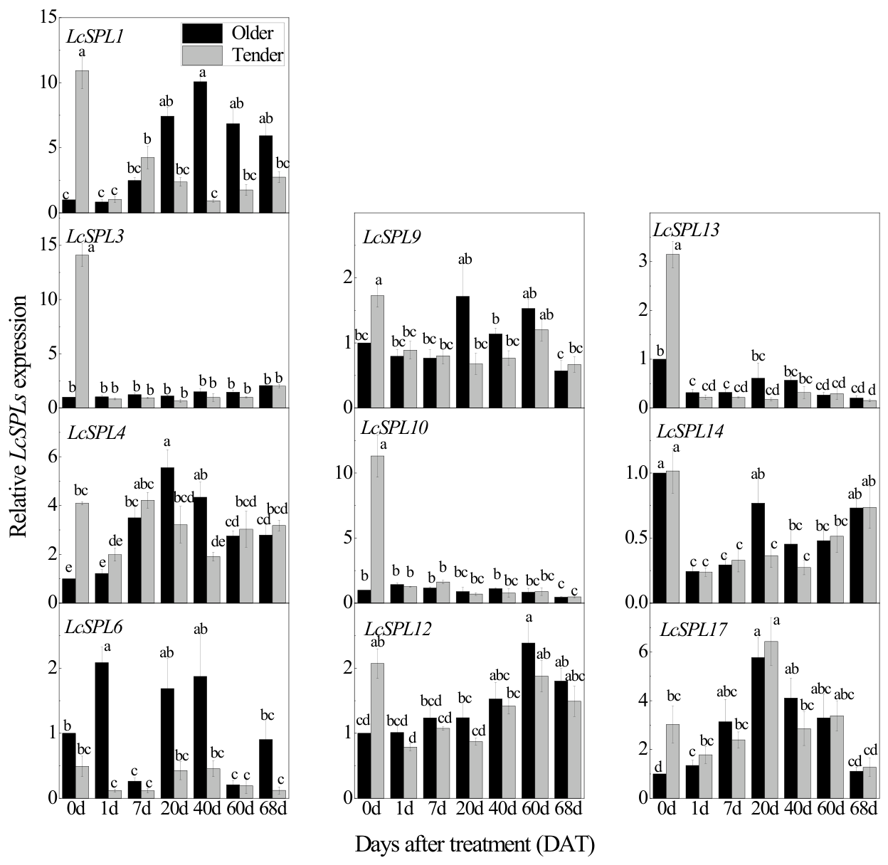 Preprints 228198 g005