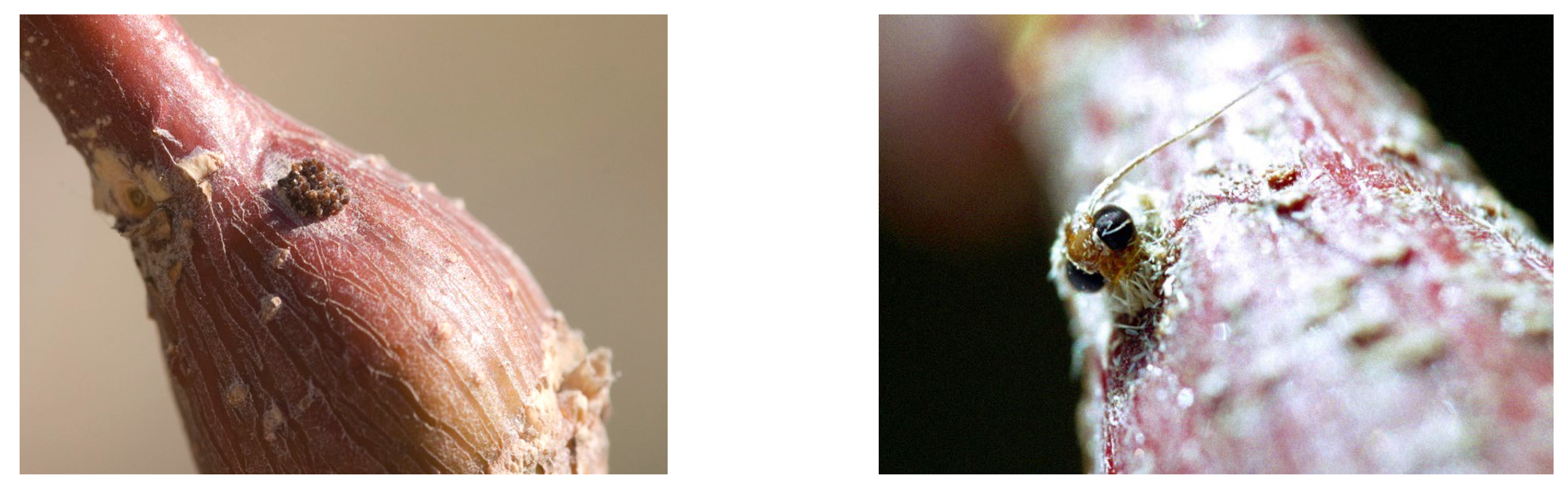 Preprints 190730 g004