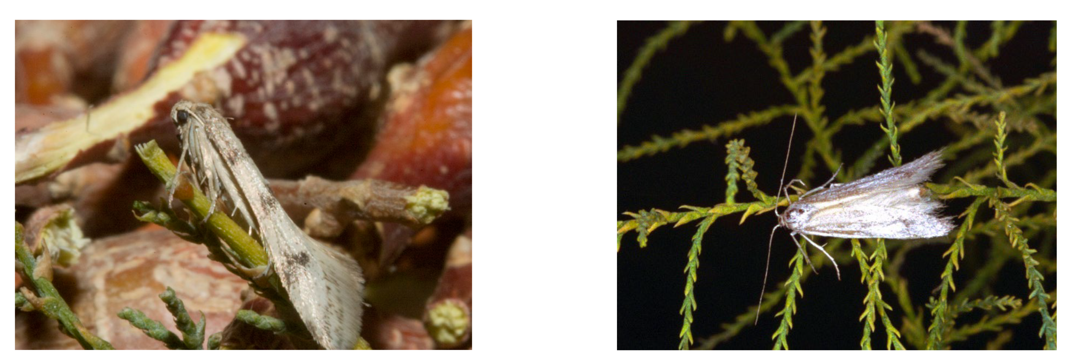 Preprints 190730 g005