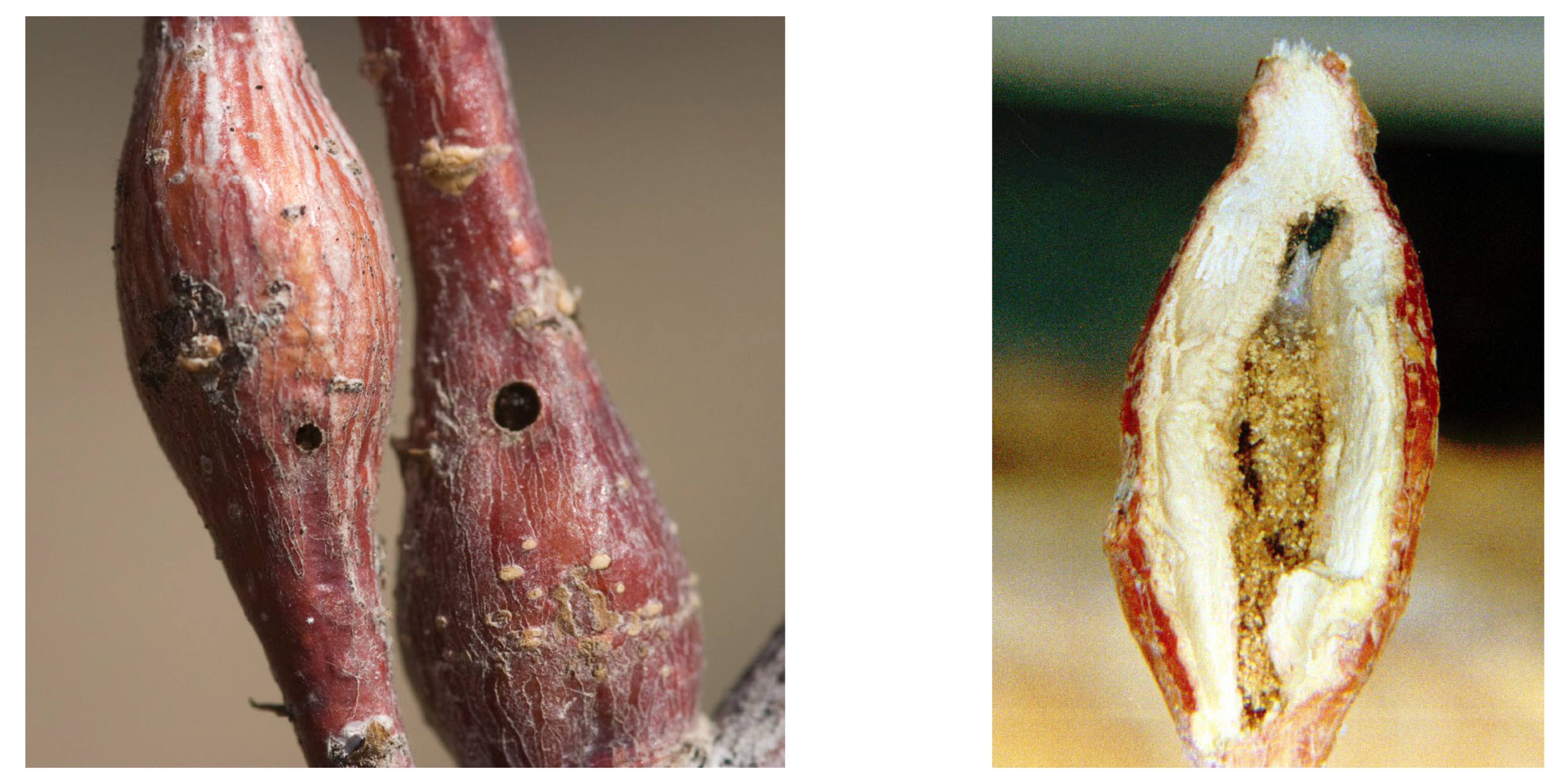 Preprints 190730 g007