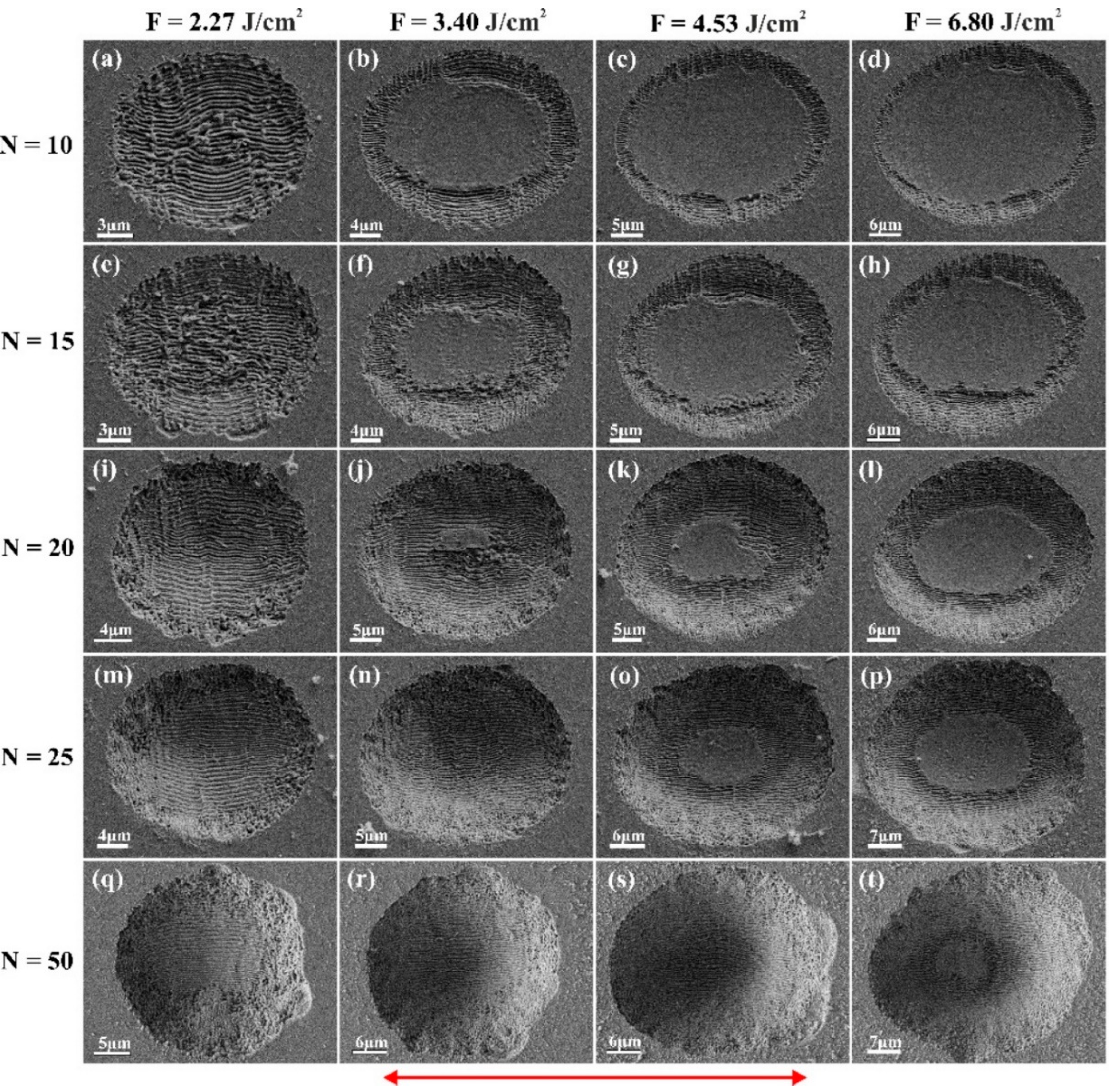 Preprints 74706 g003
