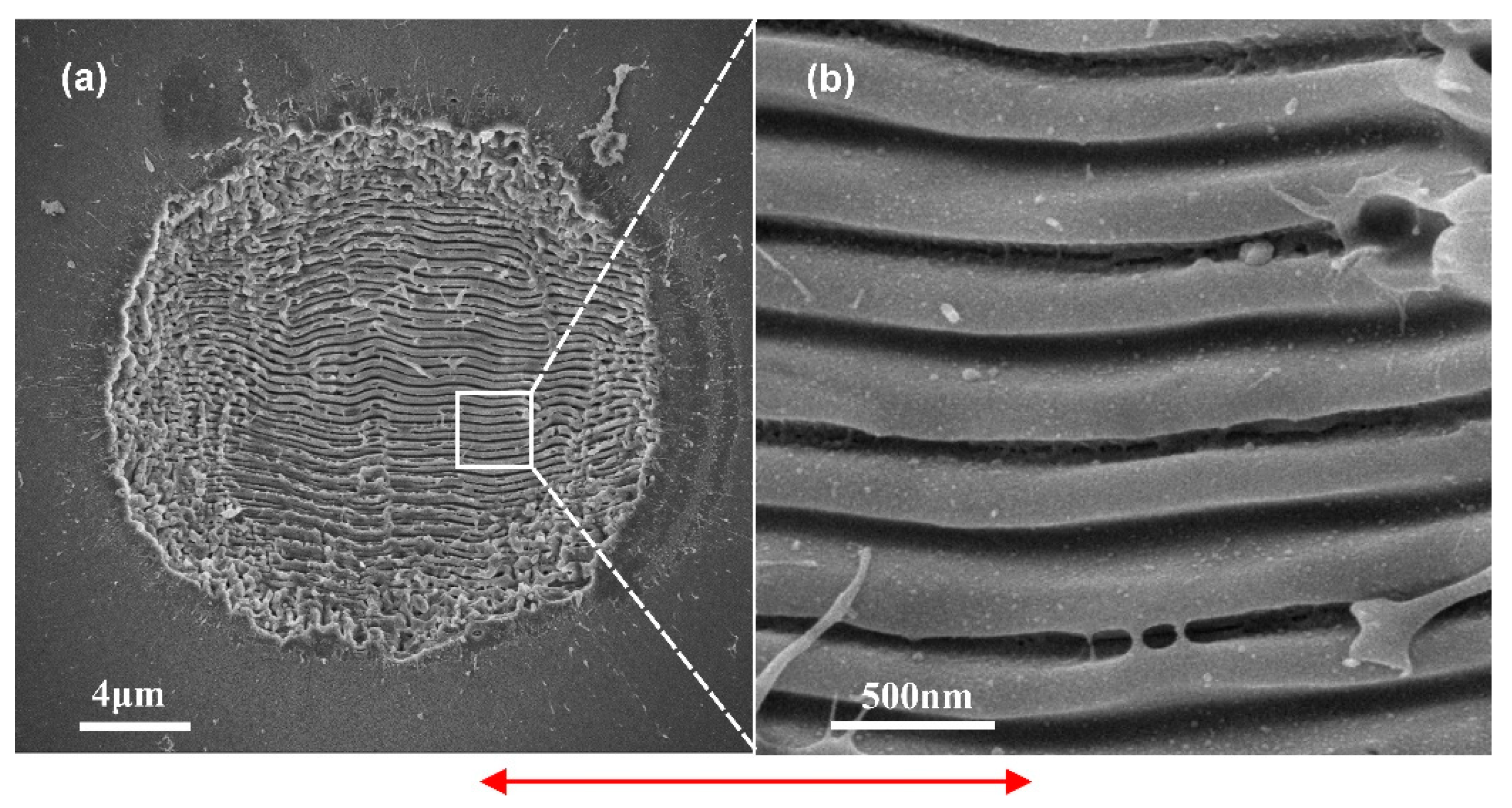 Preprints 74706 g004