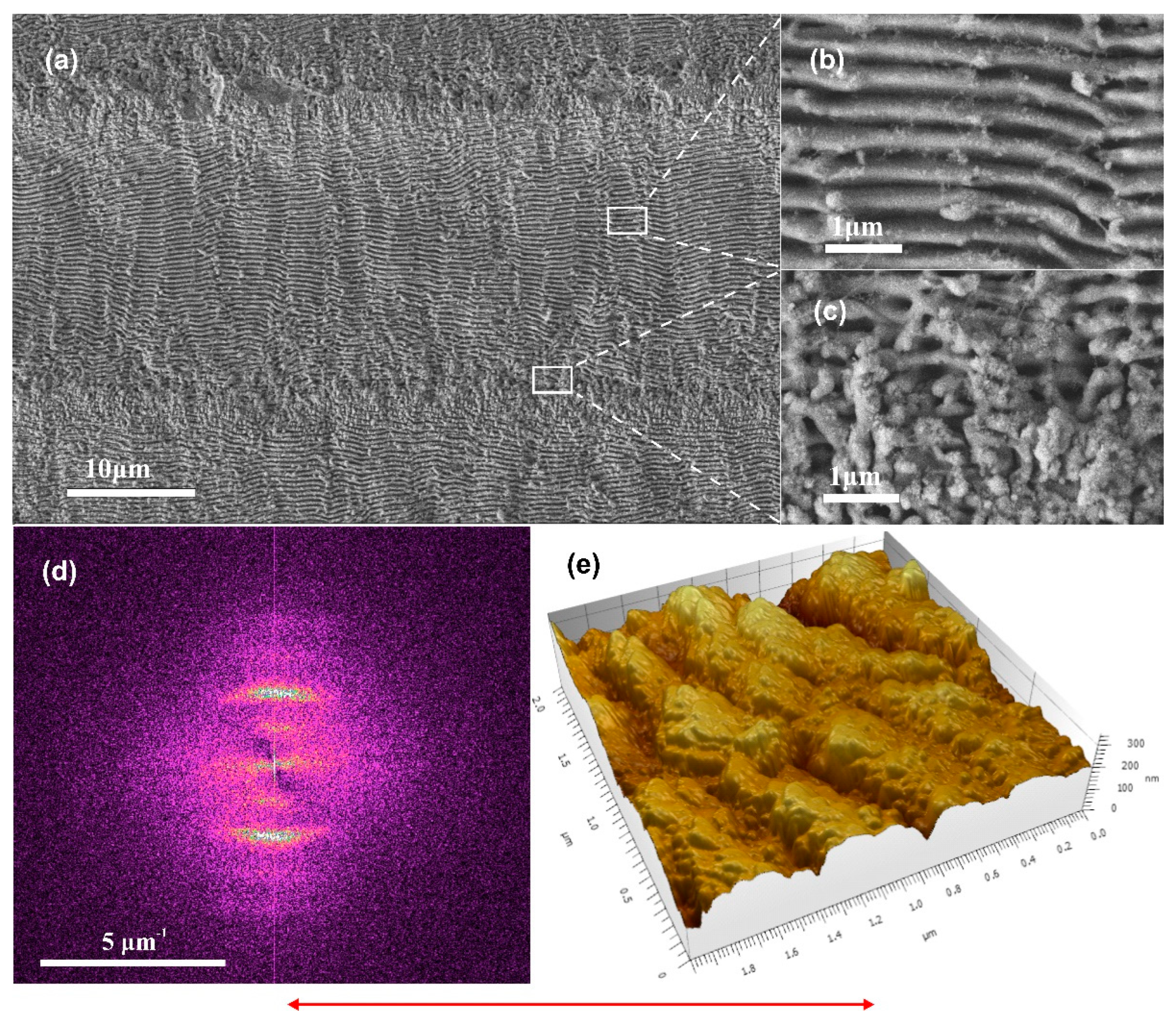 Preprints 74706 g006