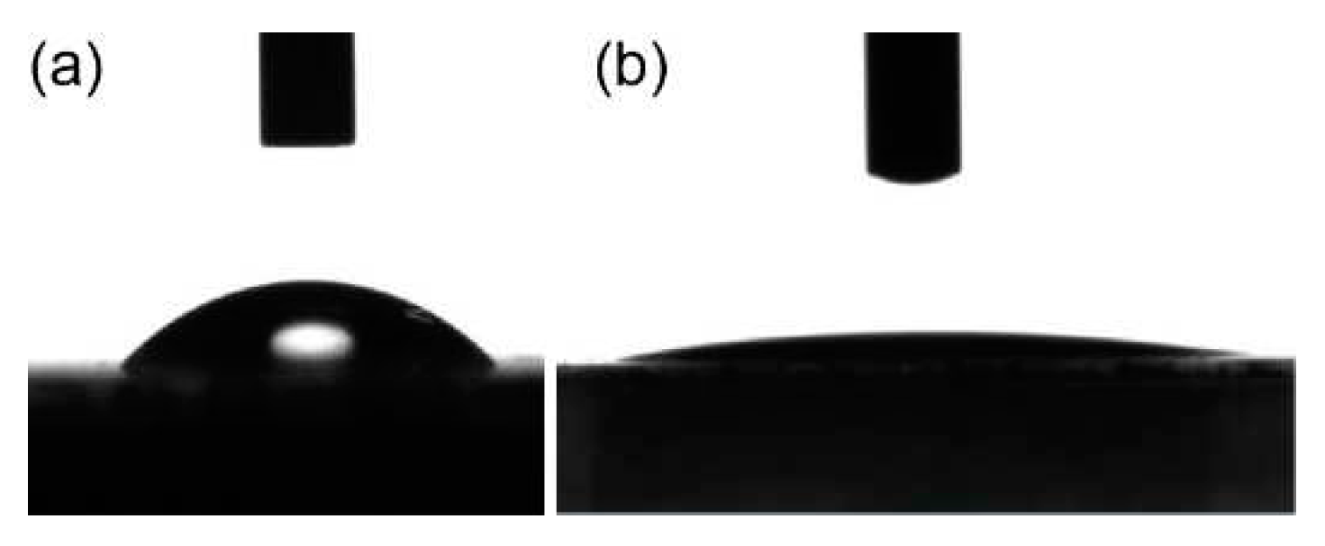 Preprints 74706 g008