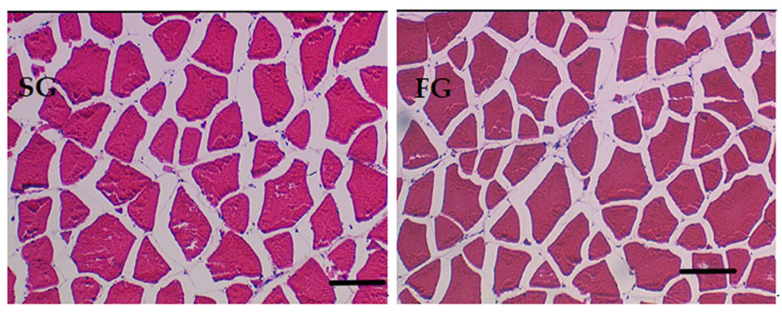 Preprints 146250 g005