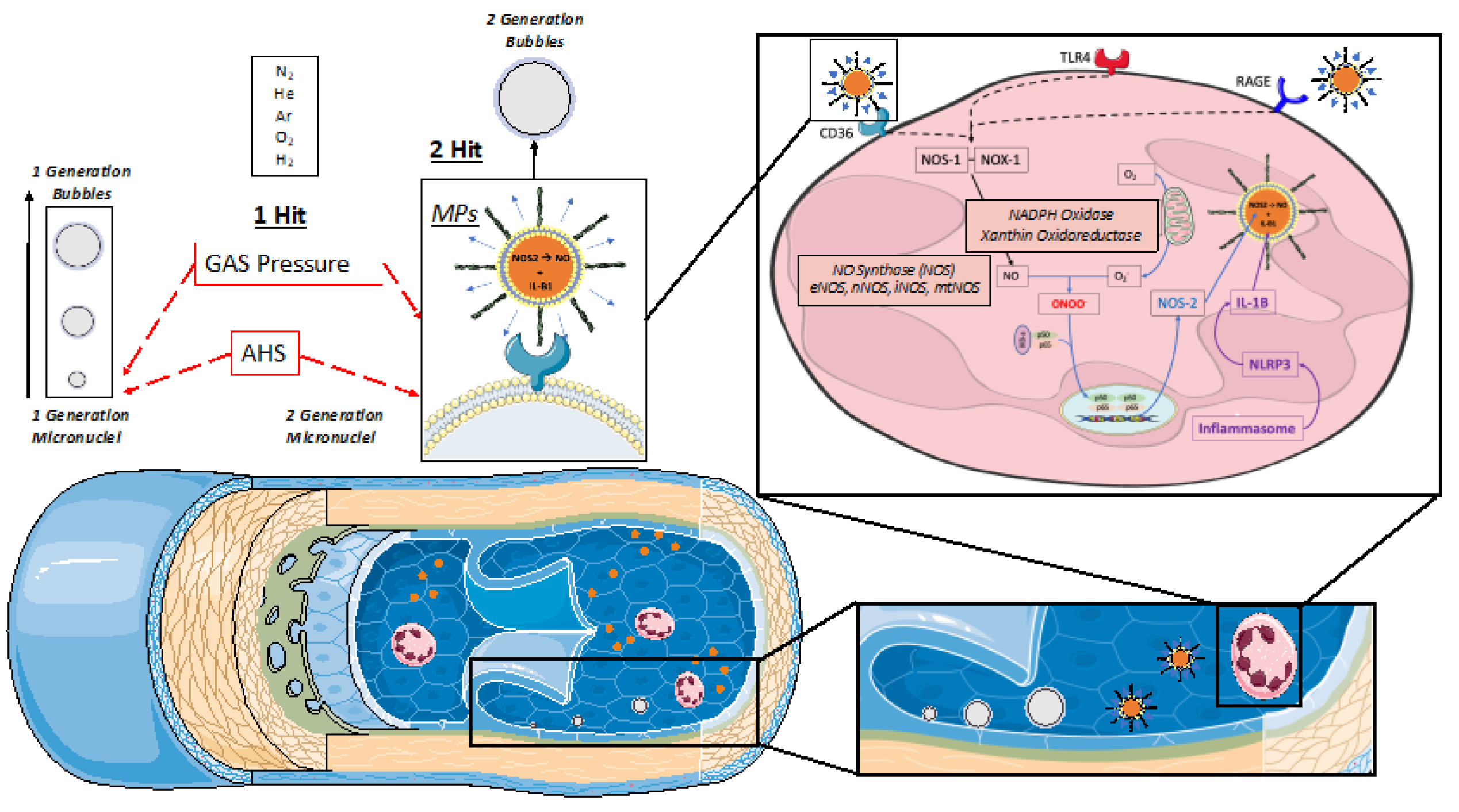 Preprints 95000 g001