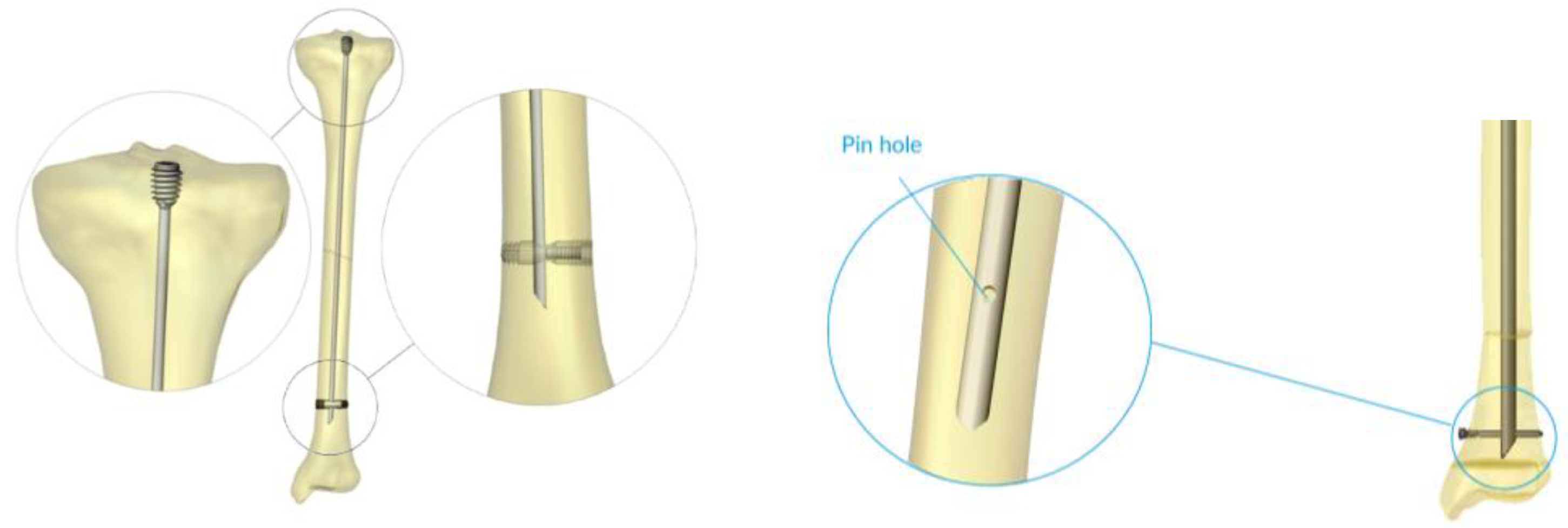 Preprints 171625 g001