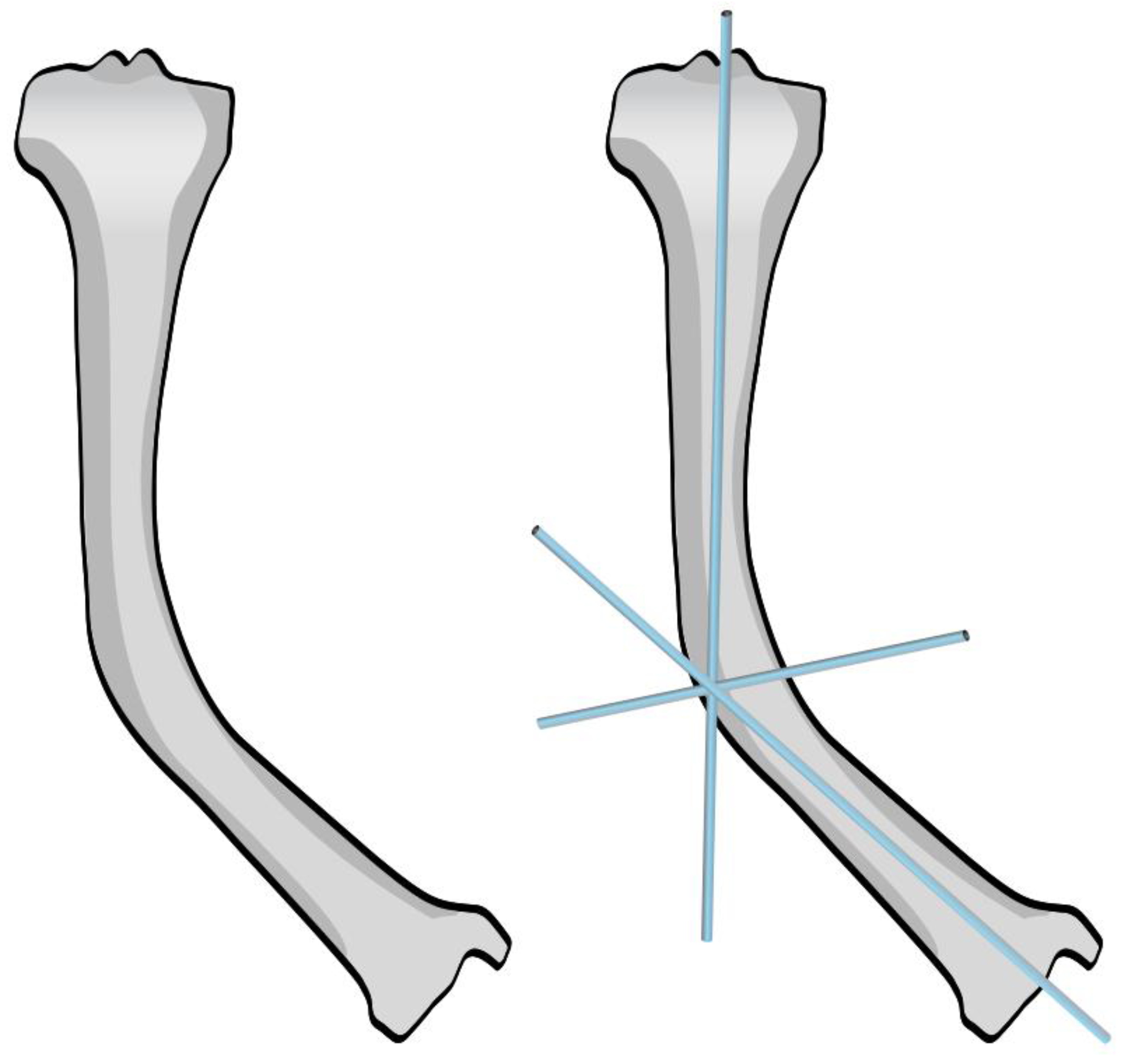 Preprints 171625 g003