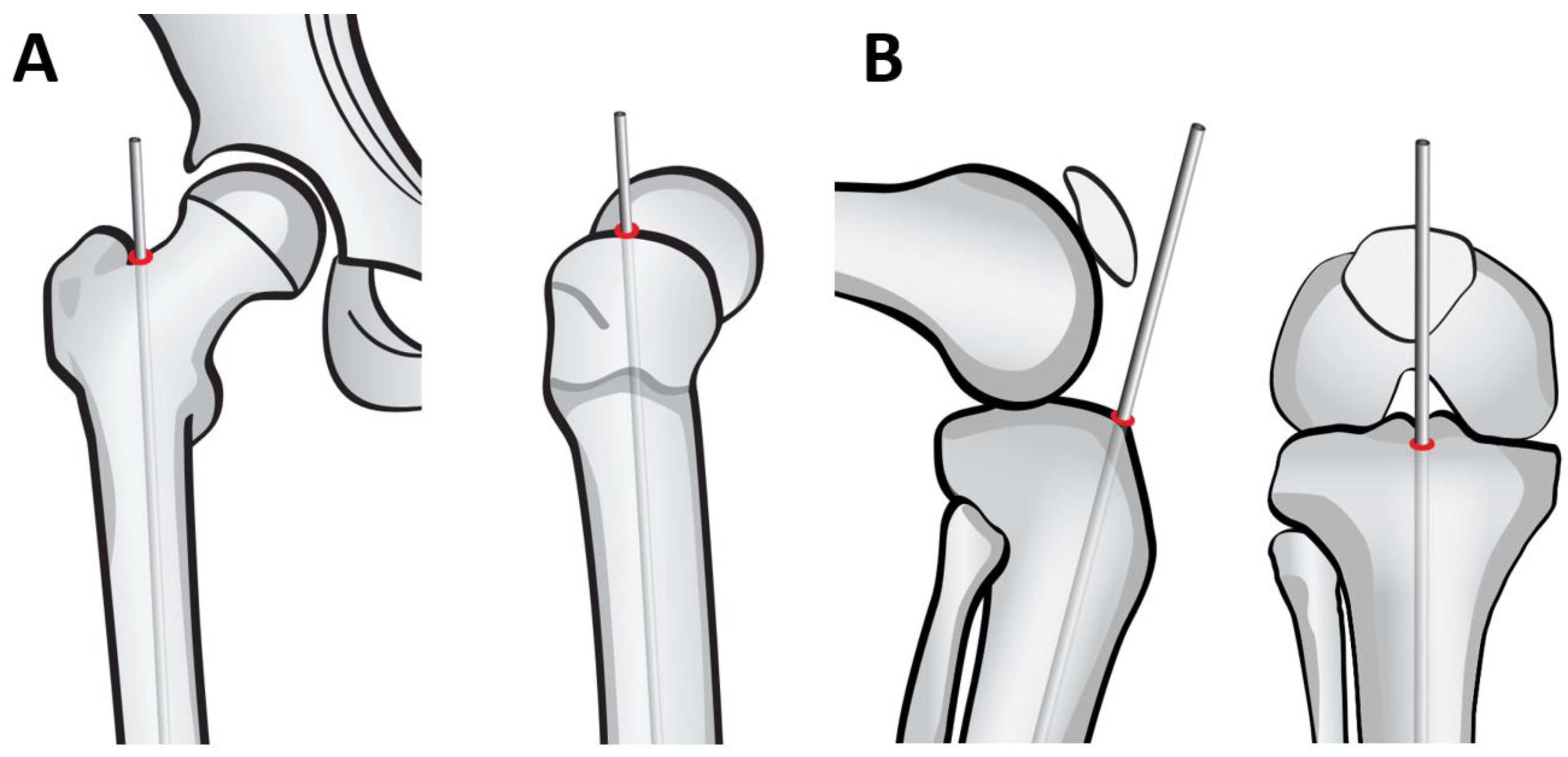Preprints 171625 g005