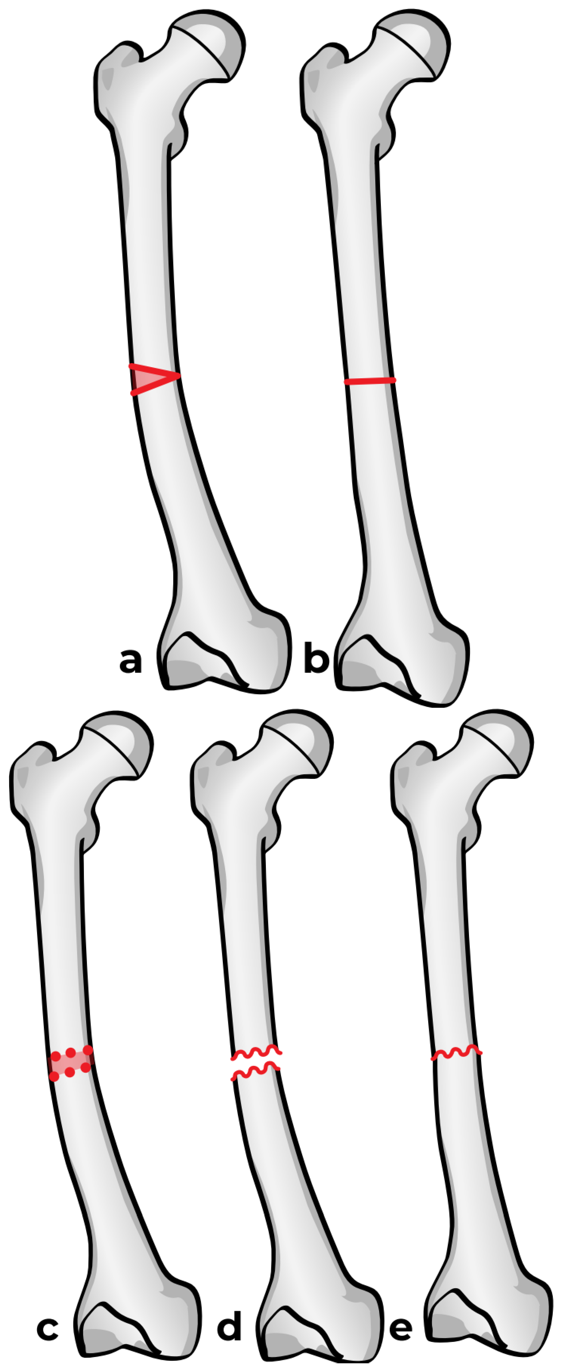 Preprints 171625 g006