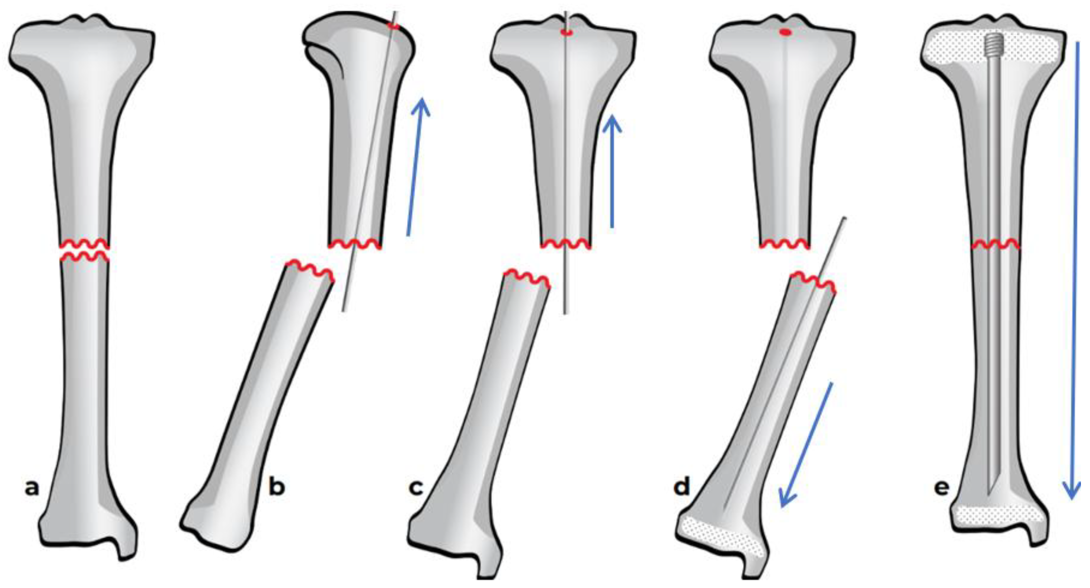 Preprints 171625 g007