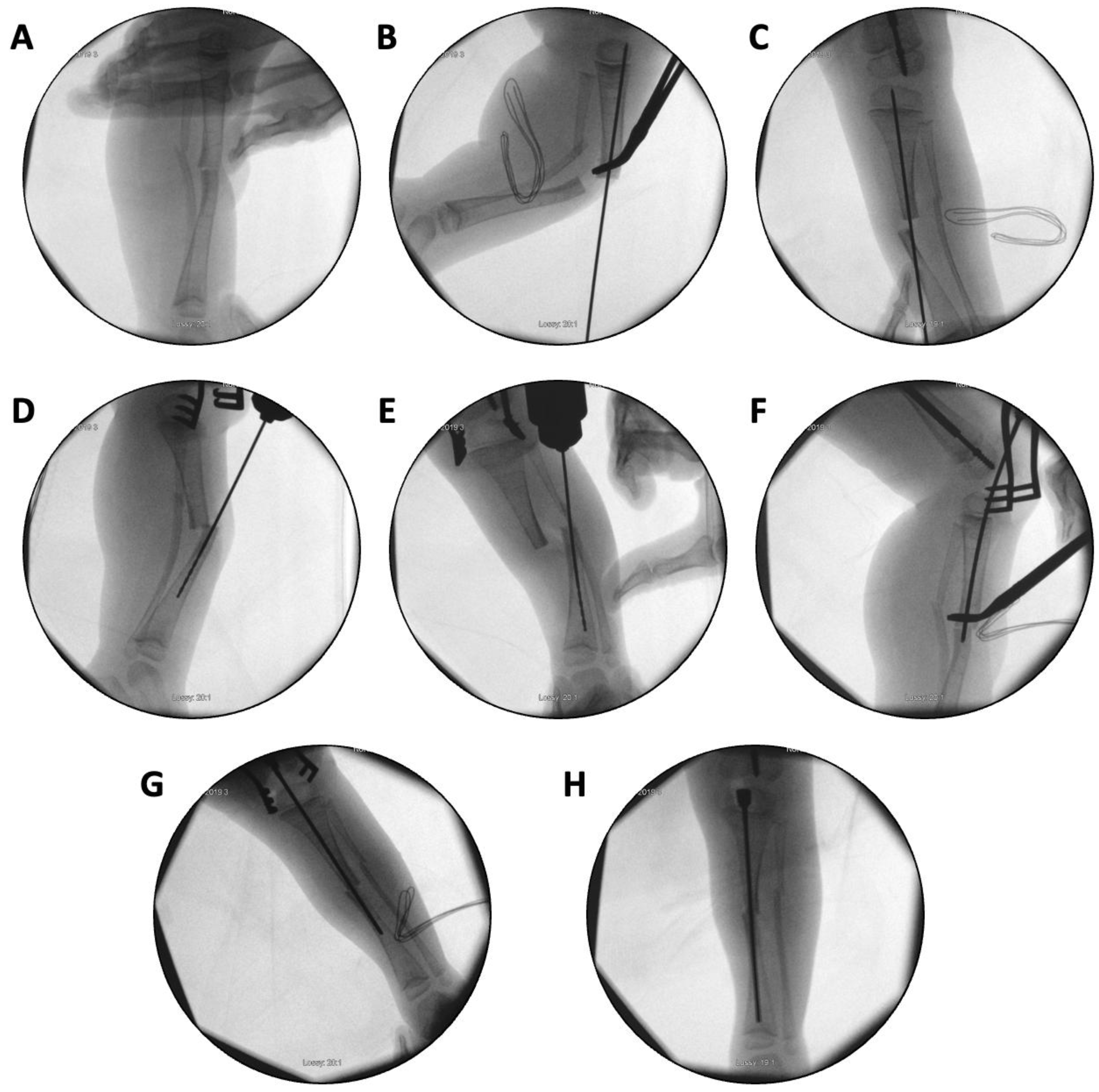 Preprints 171625 g009