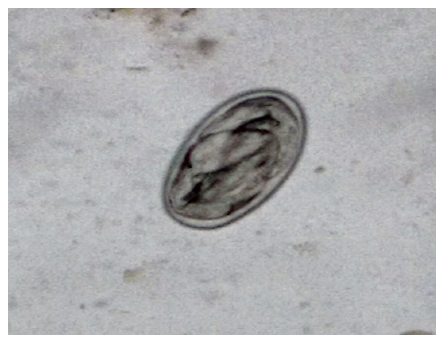 Preprints 74347 g001