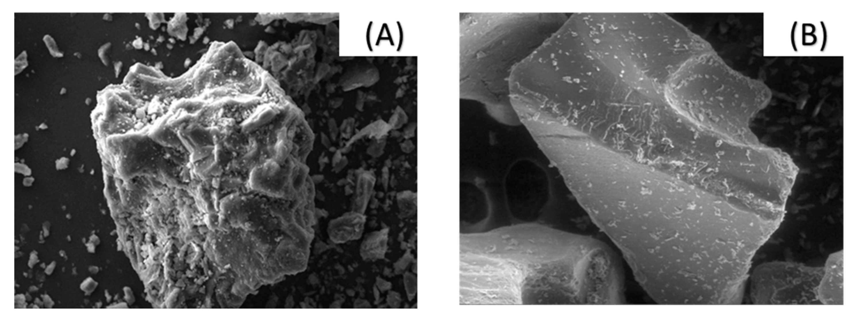 Preprints 151146 g003