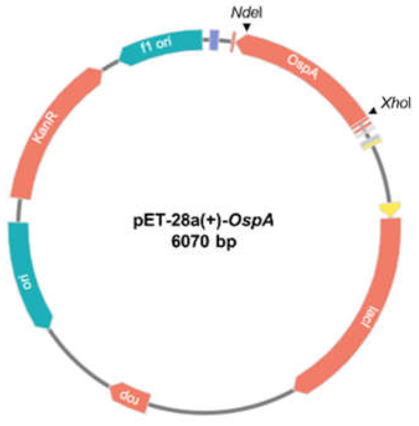 Preprints 141165 g001