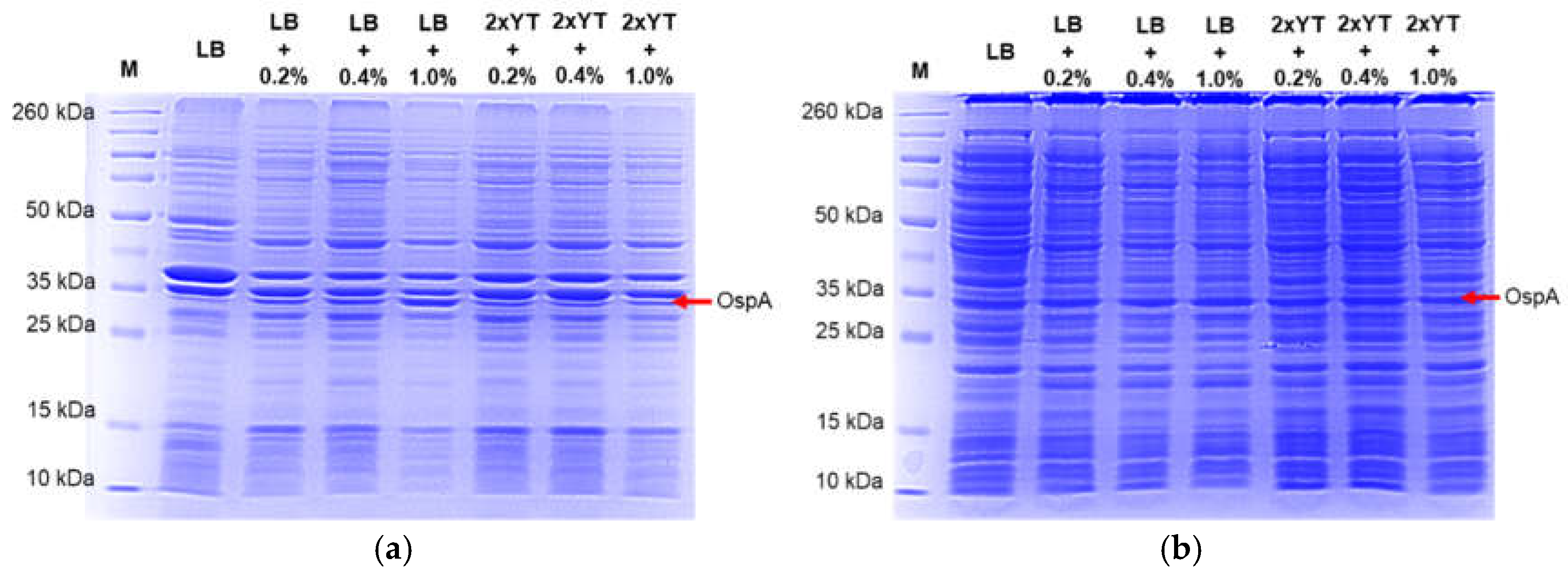 Preprints 141165 g004