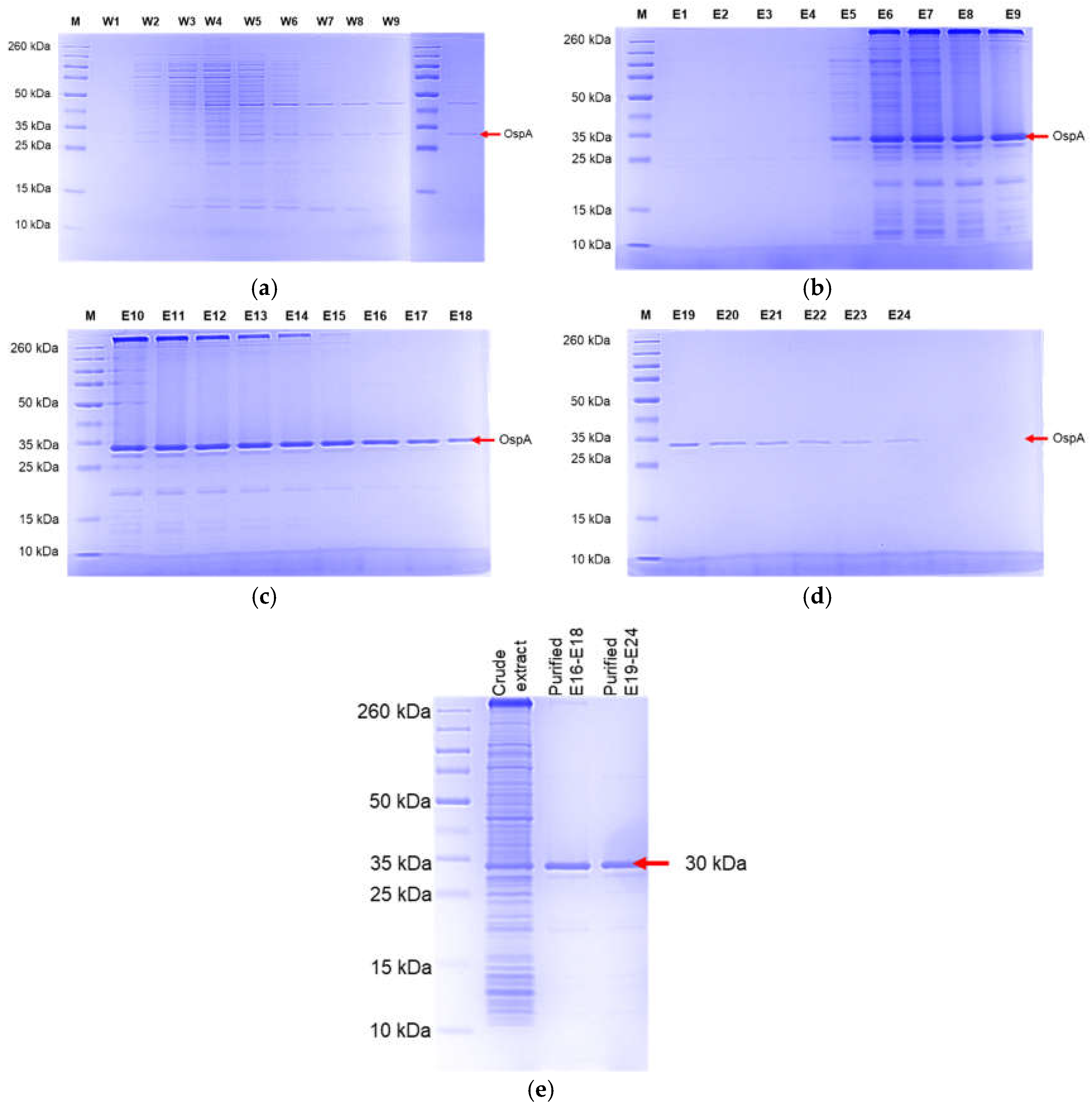 Preprints 141165 g007
