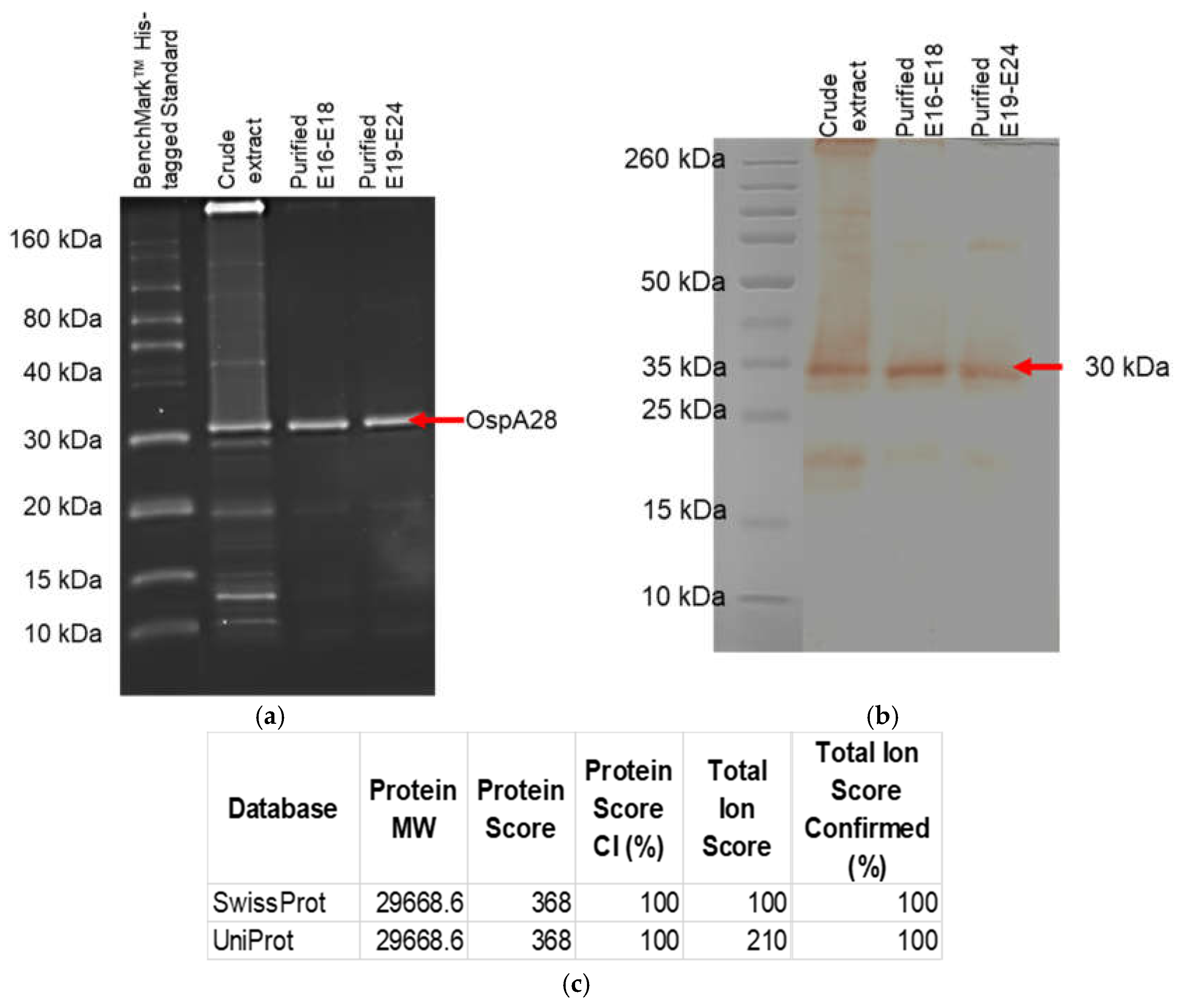 Preprints 141165 g008