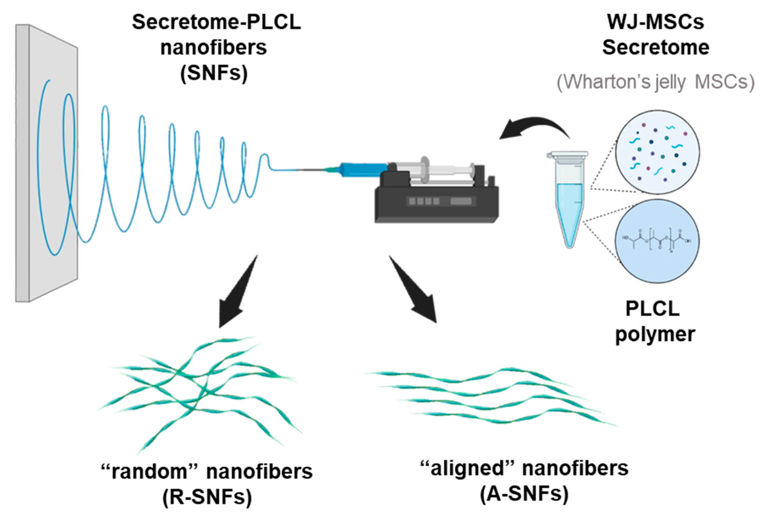 Preprints 189361 g001