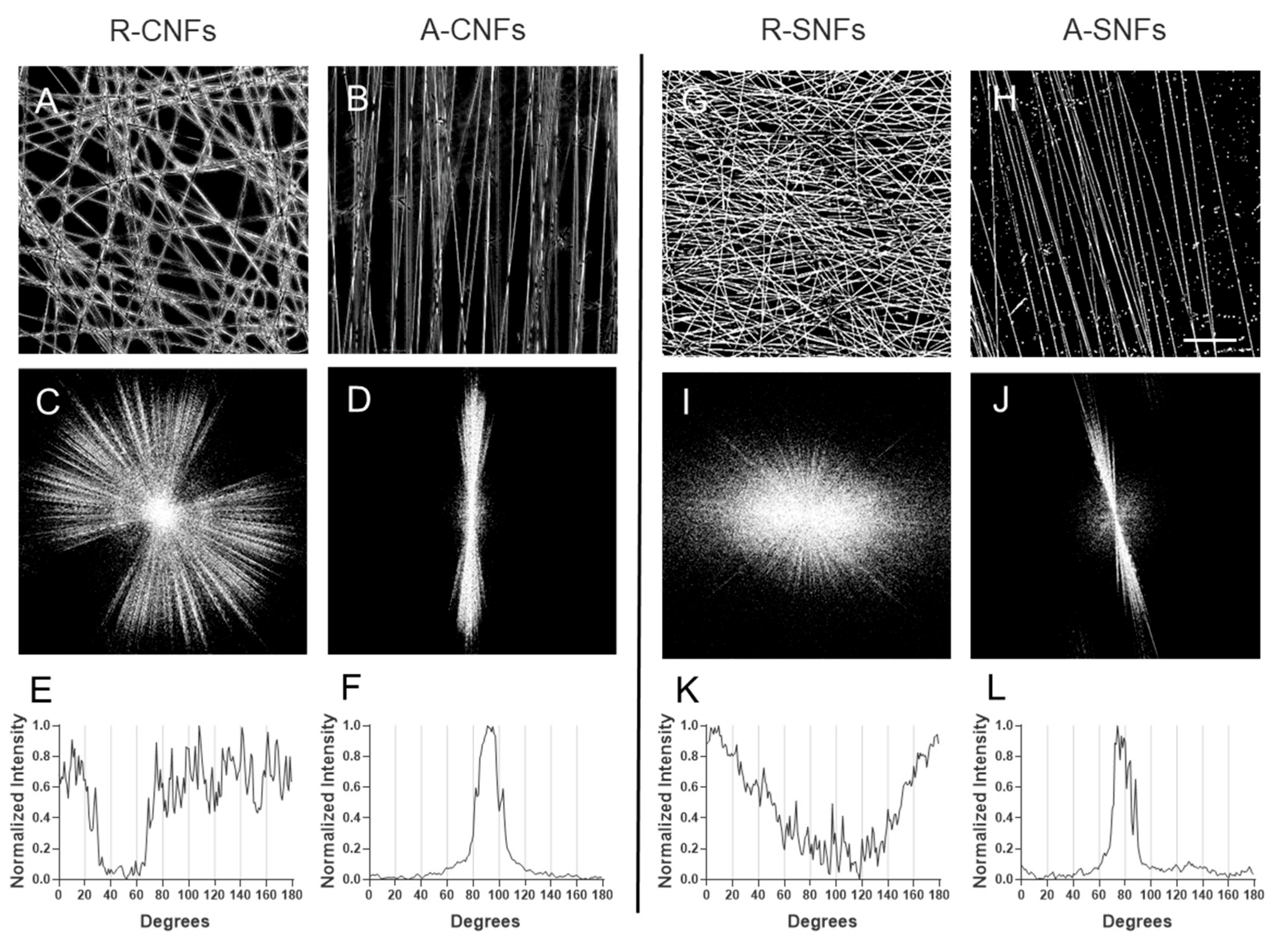 Preprints 189361 g002