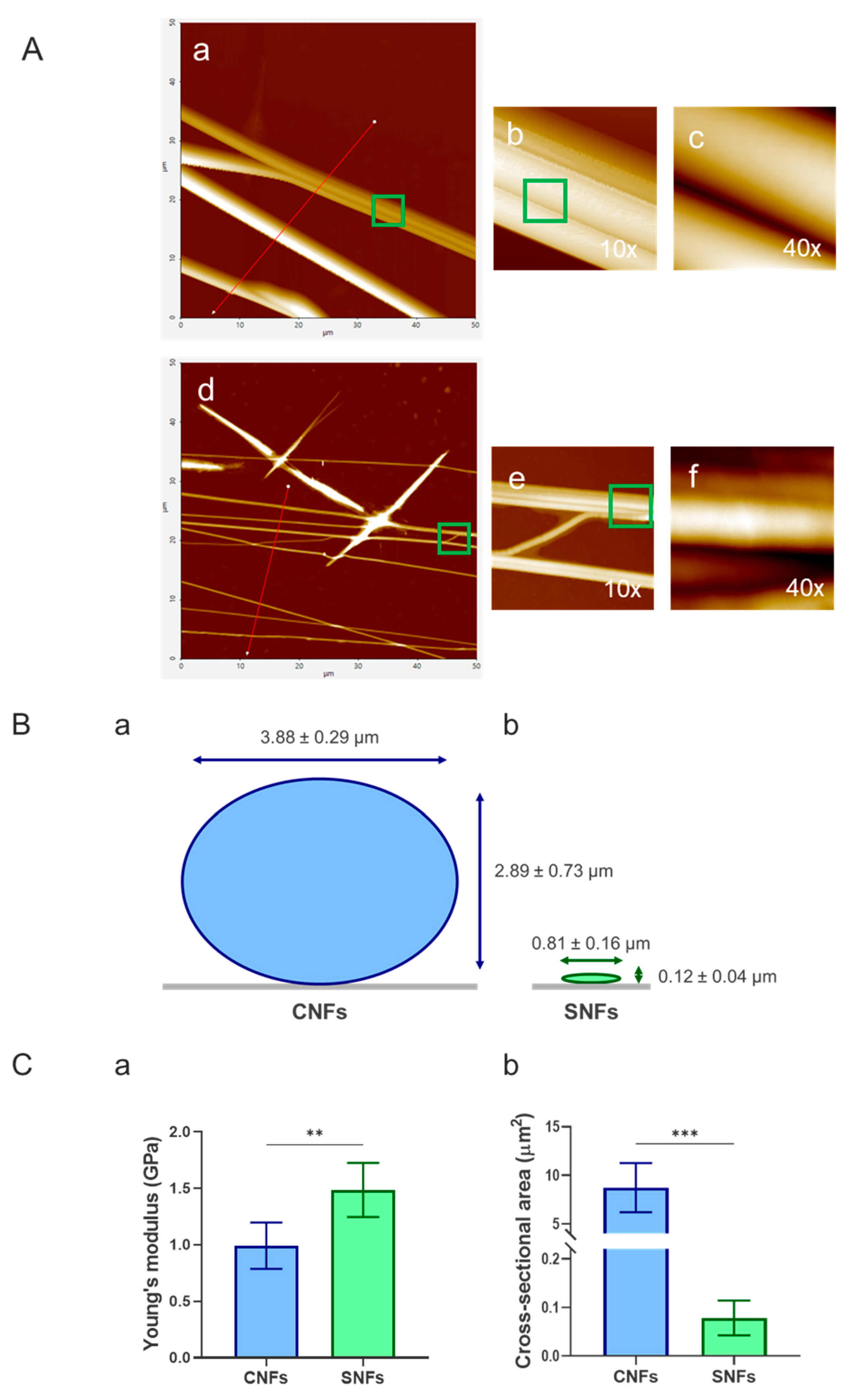 Preprints 189361 g004