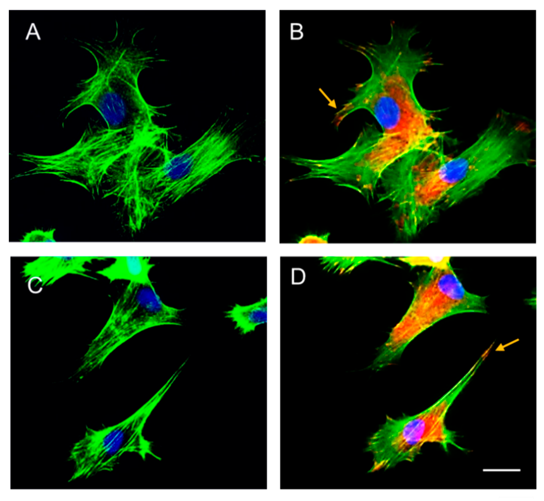 Preprints 189361 g005
