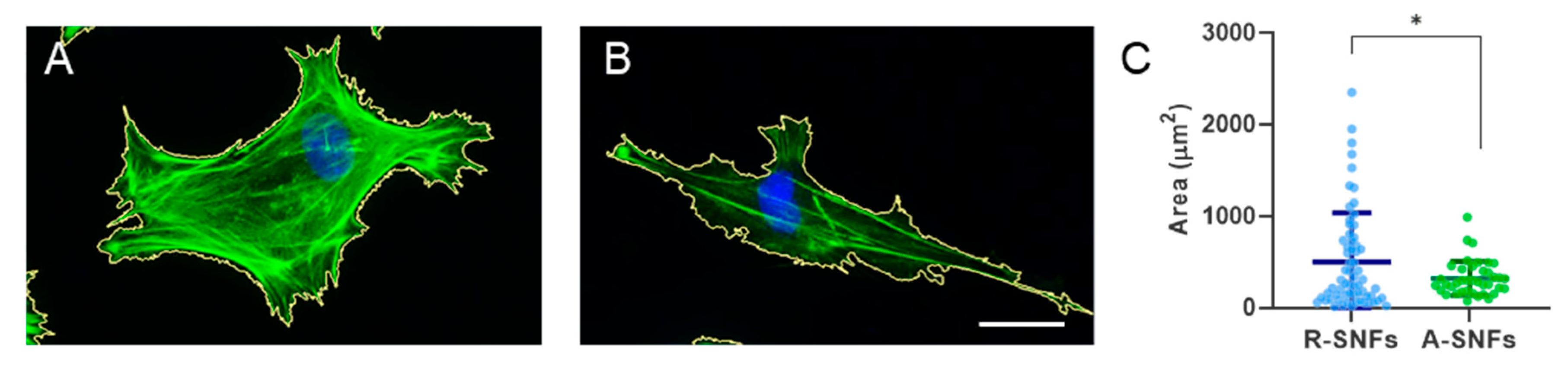 Preprints 189361 g006