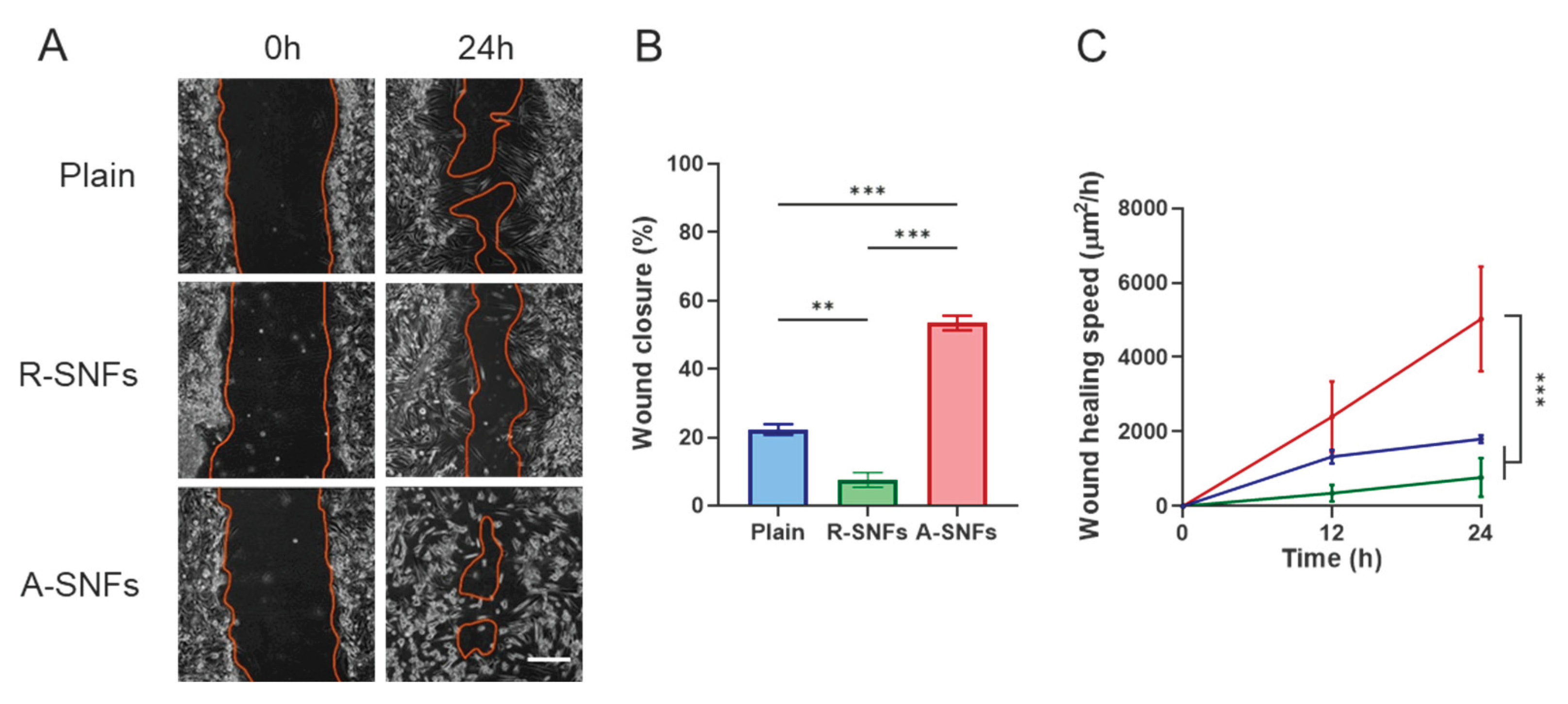 Preprints 189361 g012