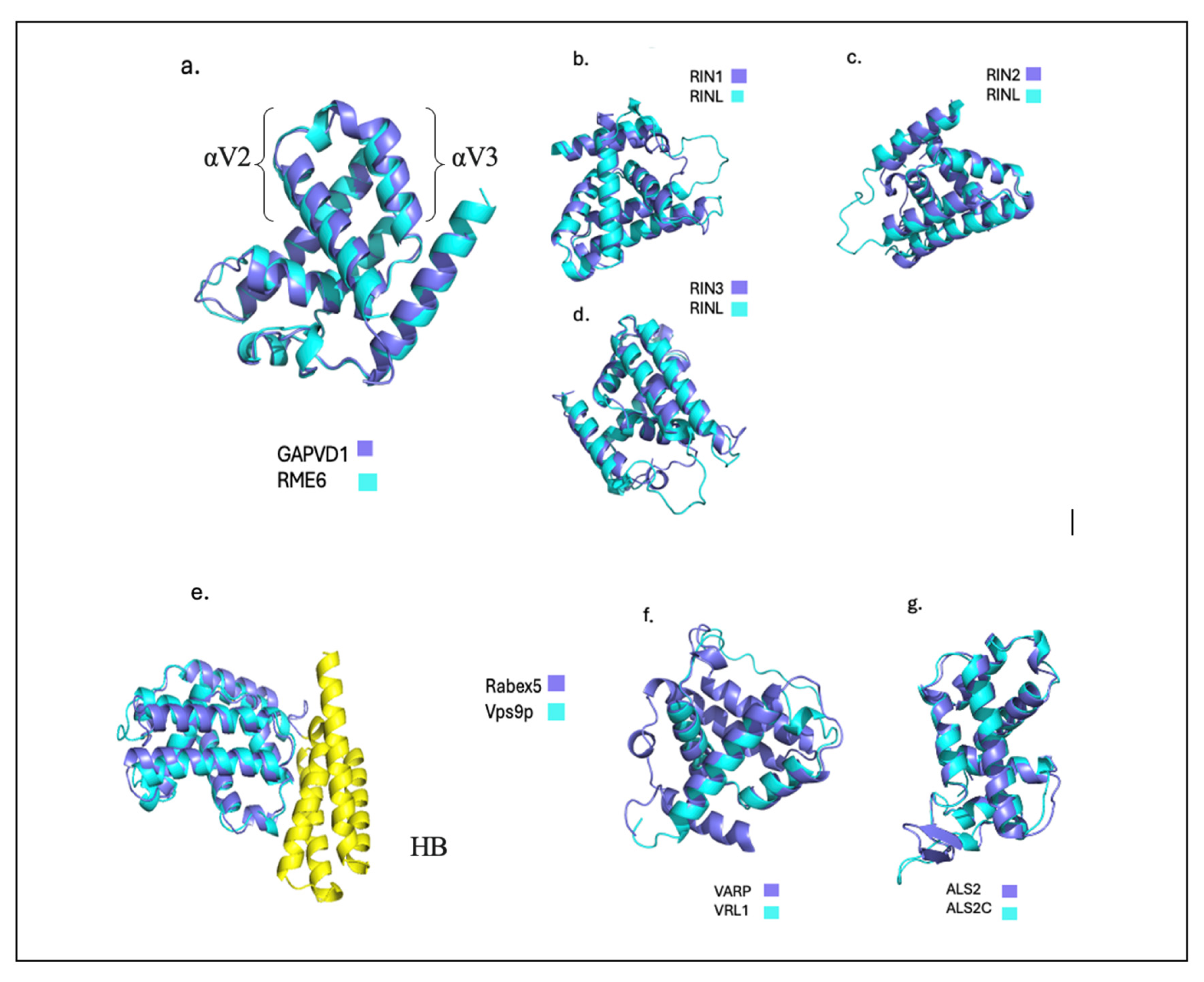 Preprints 142884 g001