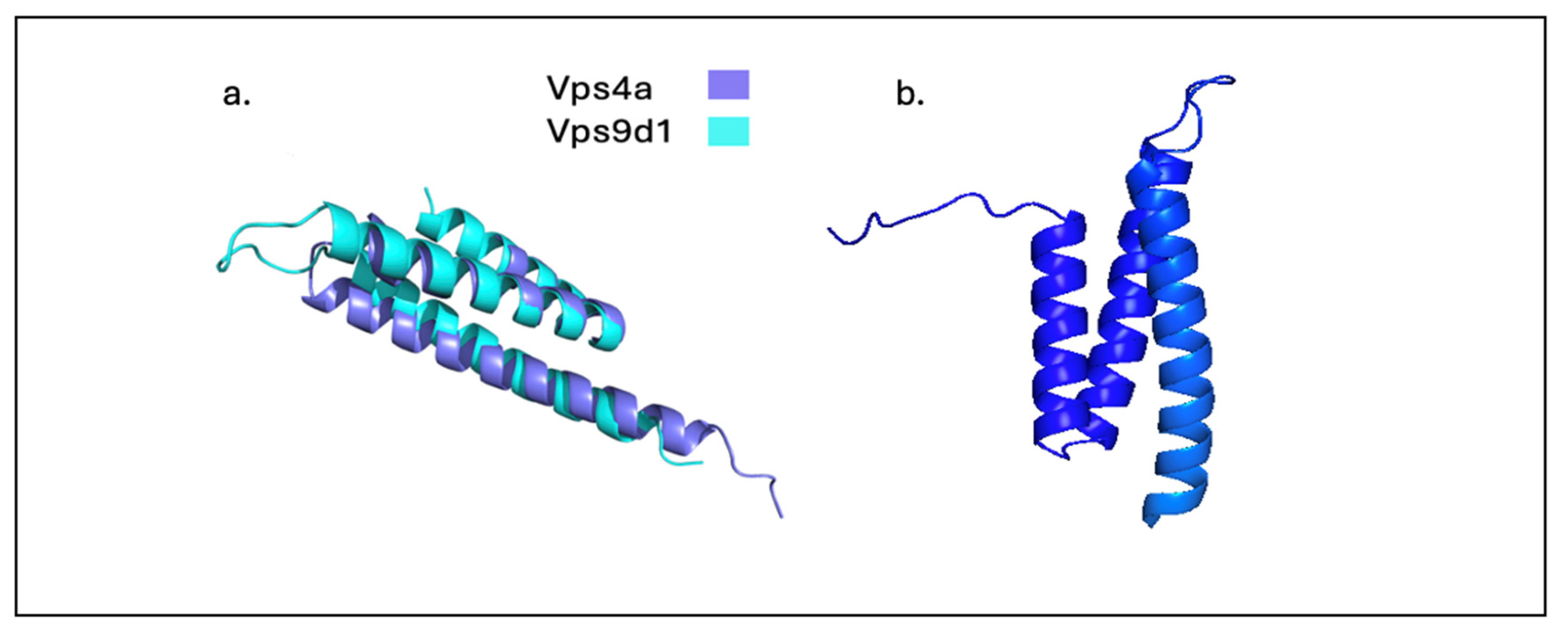 Preprints 142884 g002