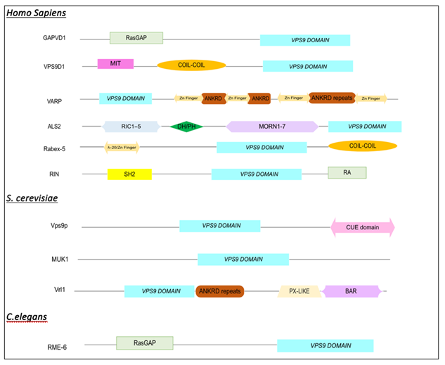 Preprints 142884 i001
