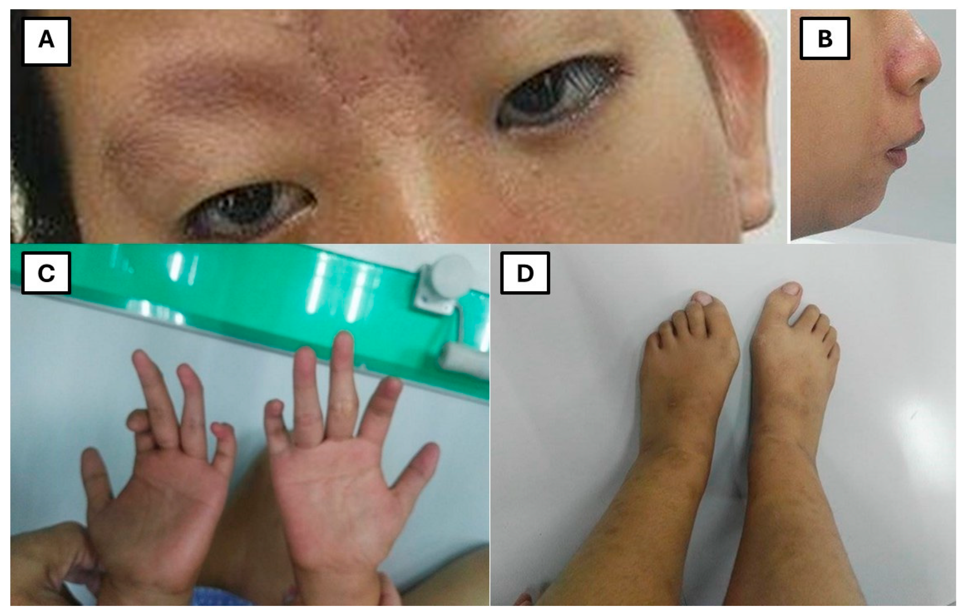 Preprints 169578 g001