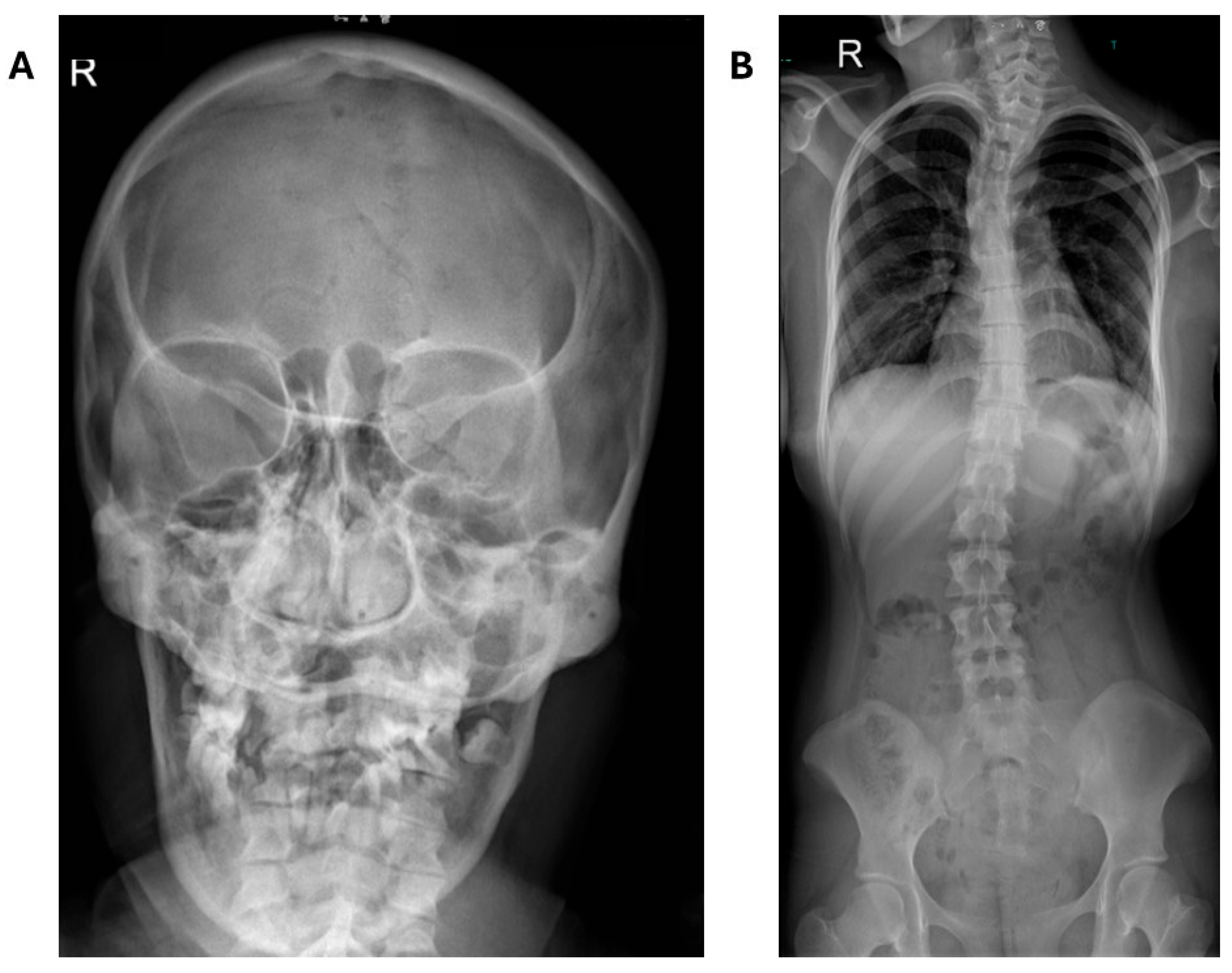 Preprints 169578 g002