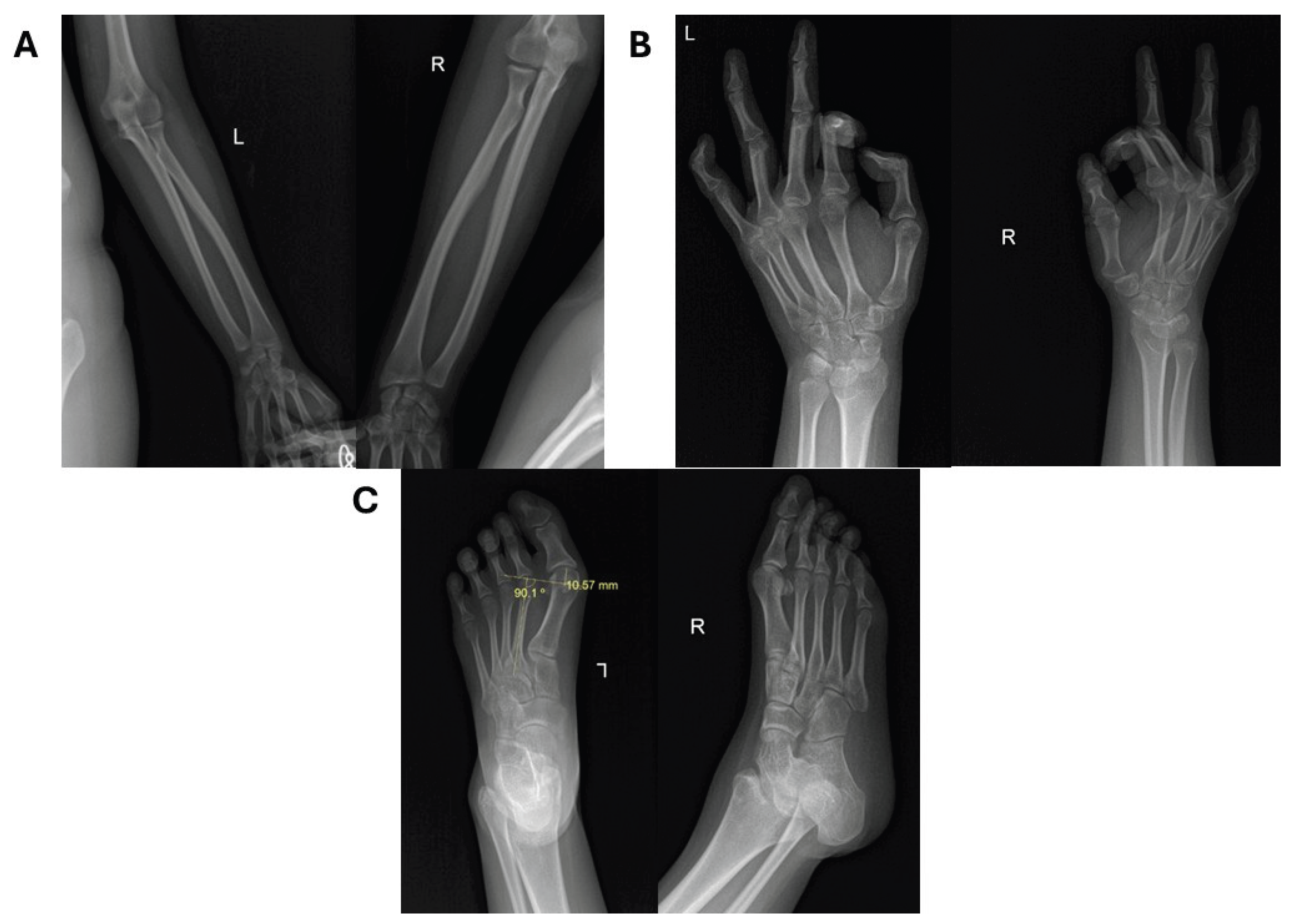 Preprints 169578 g003