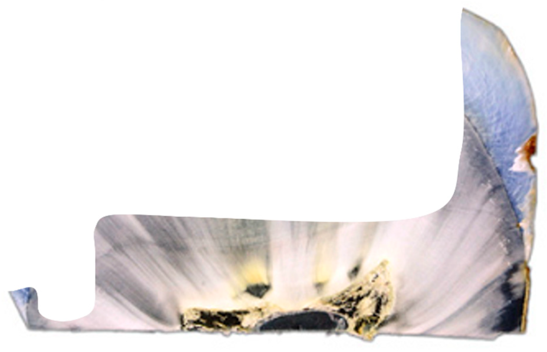 Preprints 143347 g001