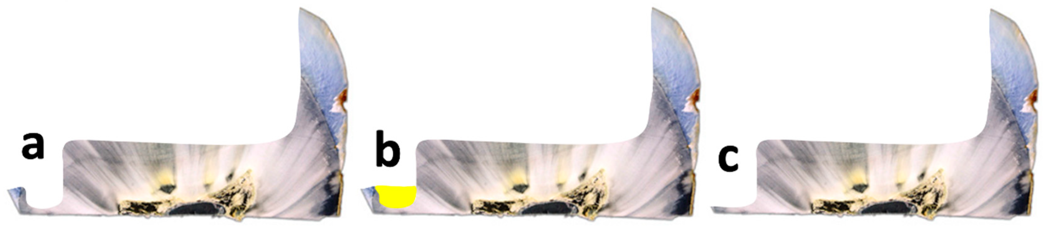 Preprints 143347 g002