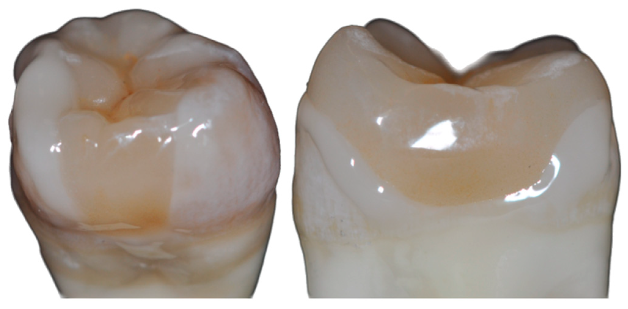 Preprints 143347 g003