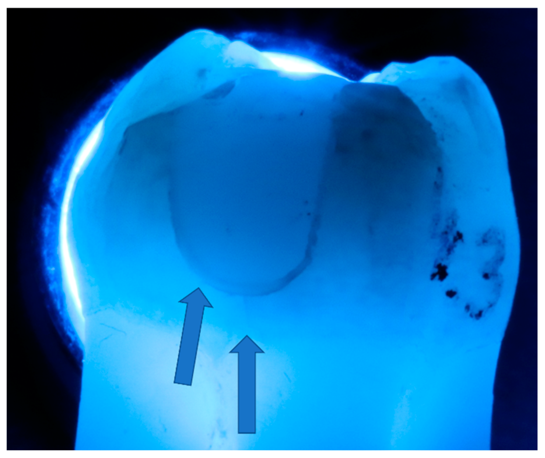 Preprints 143347 g004