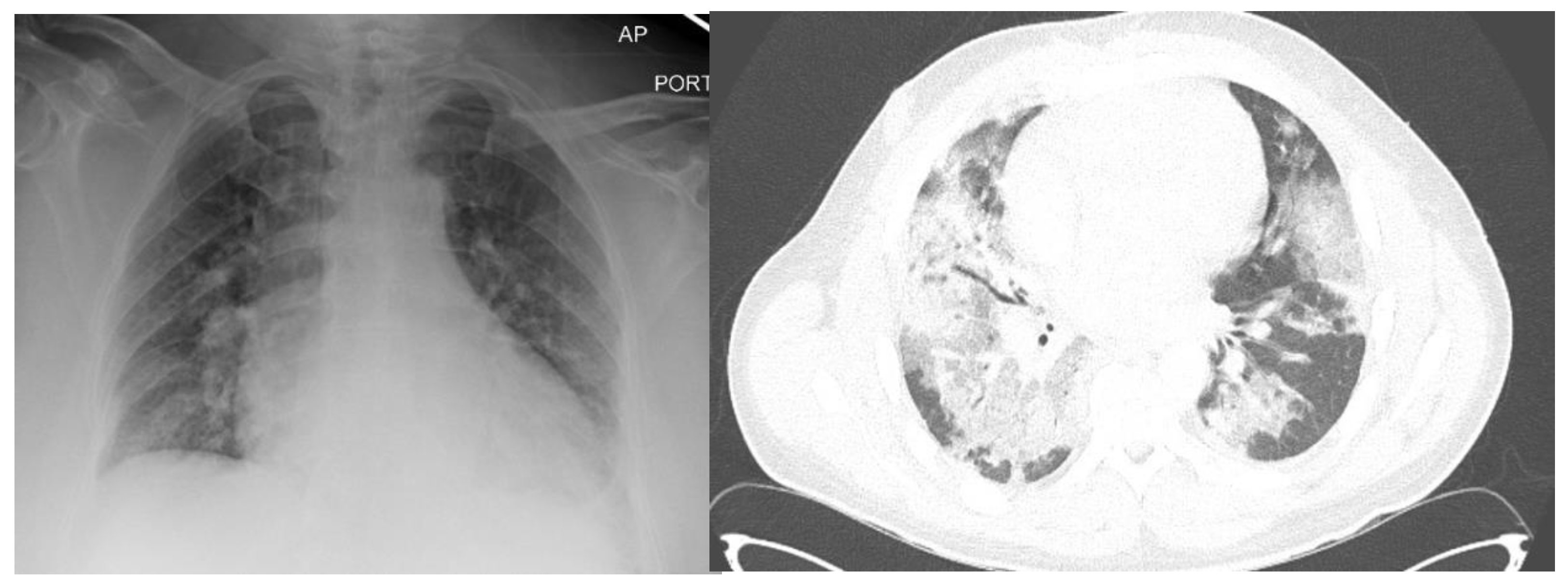 Preprints 69219 g002