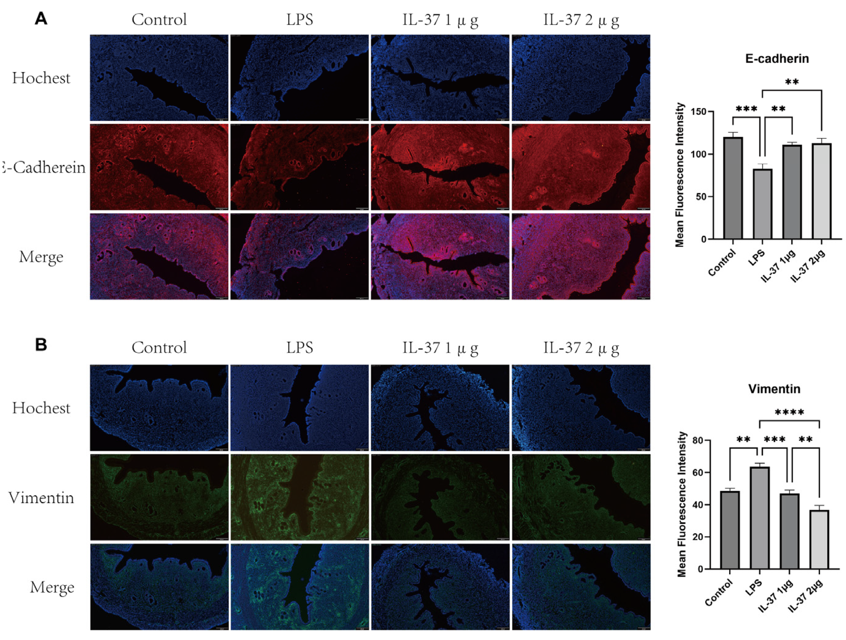 Preprints 196422 g002