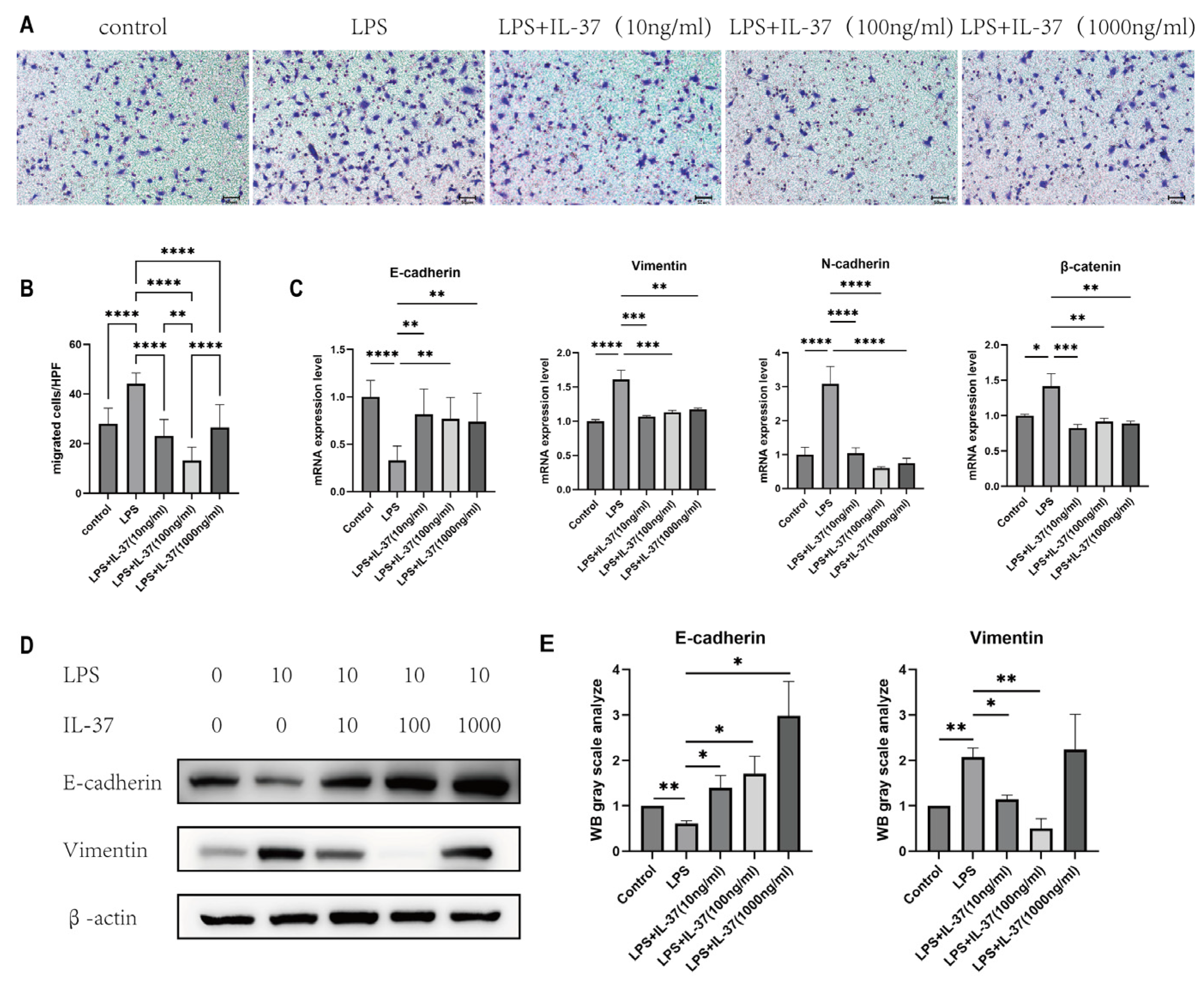Preprints 196422 g003