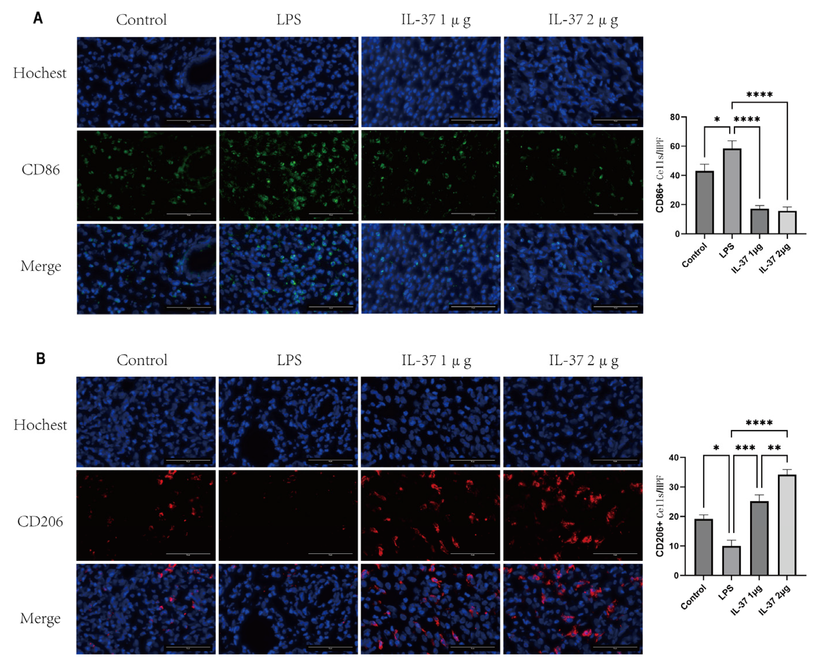 Preprints 196422 g004