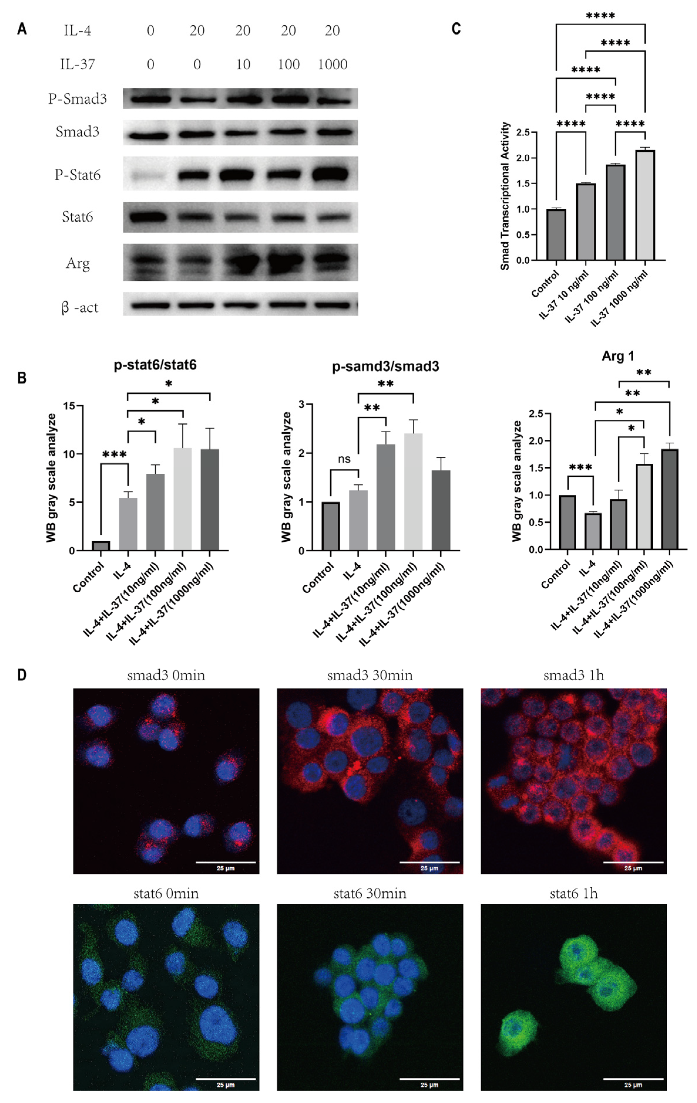 Preprints 196422 g006