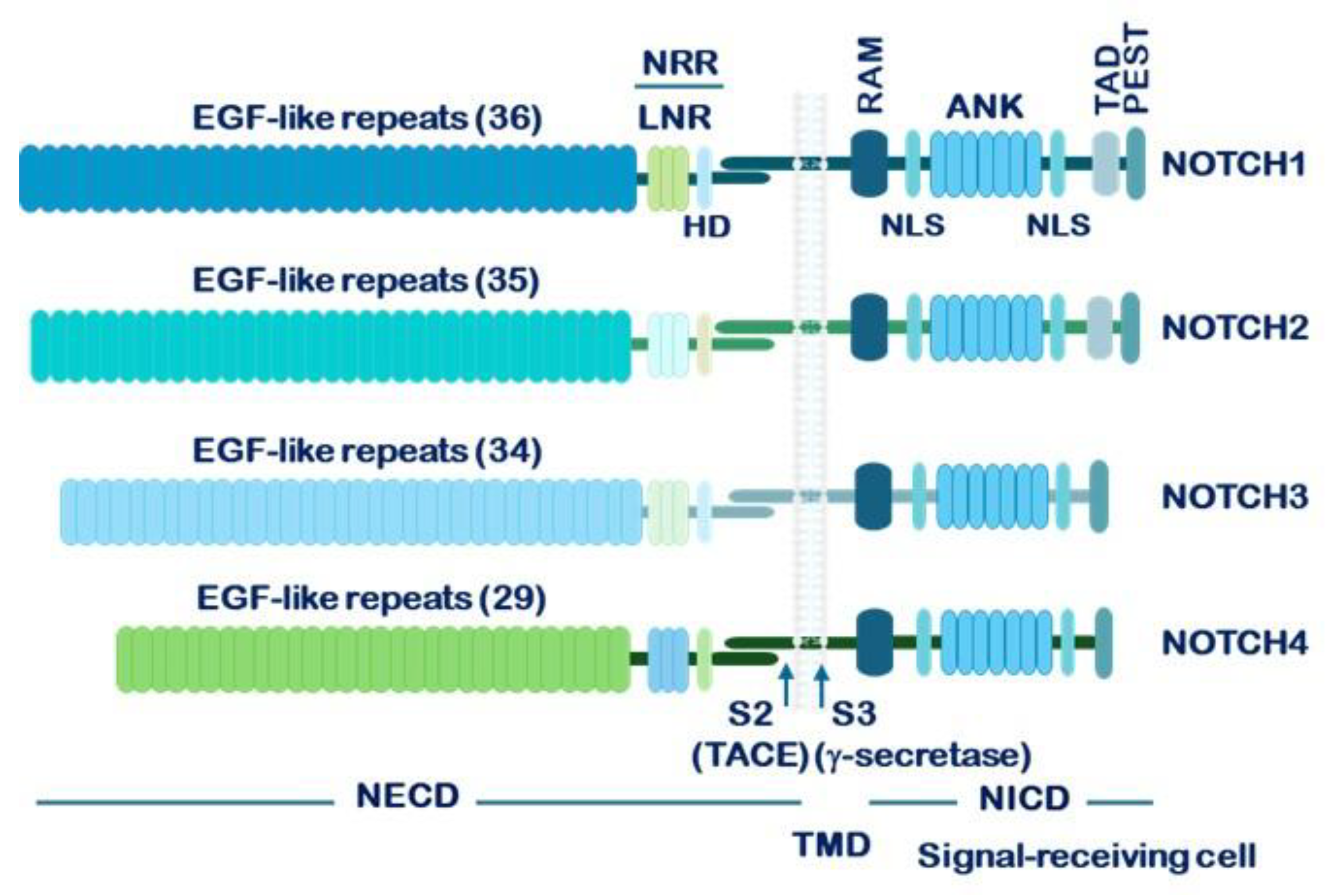 Preprints 190570 g002
