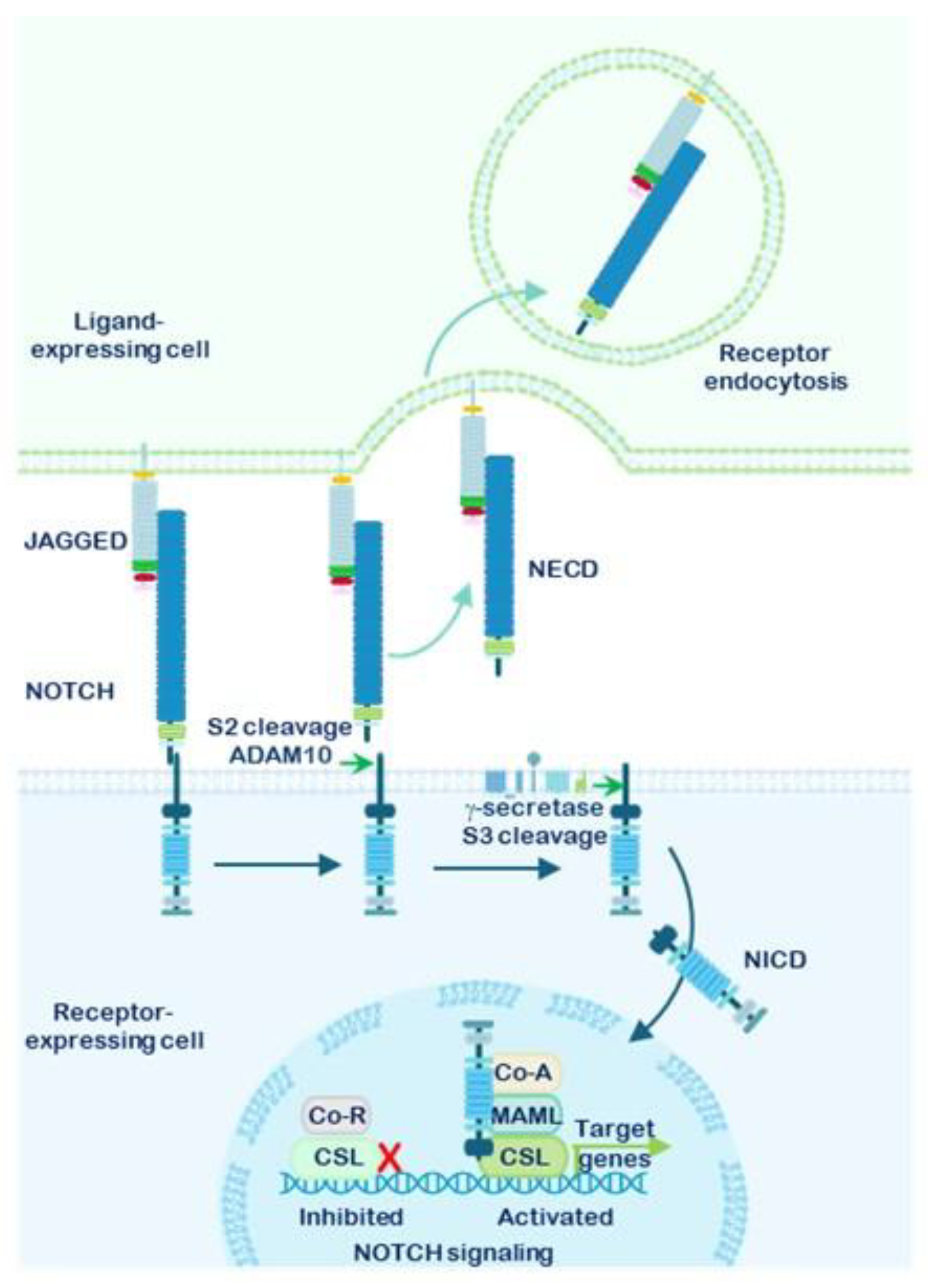 Preprints 190570 g003