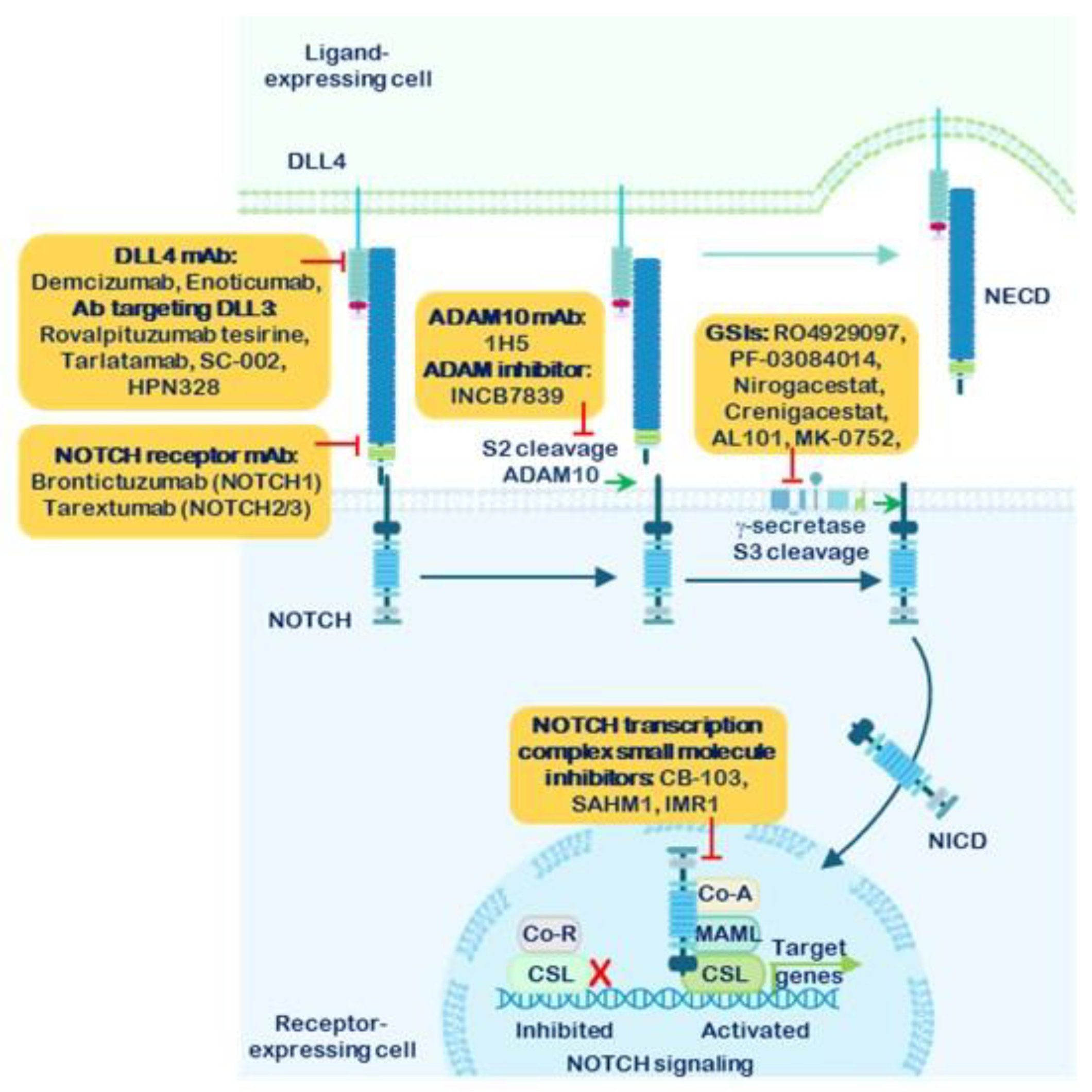 Preprints 190570 g005