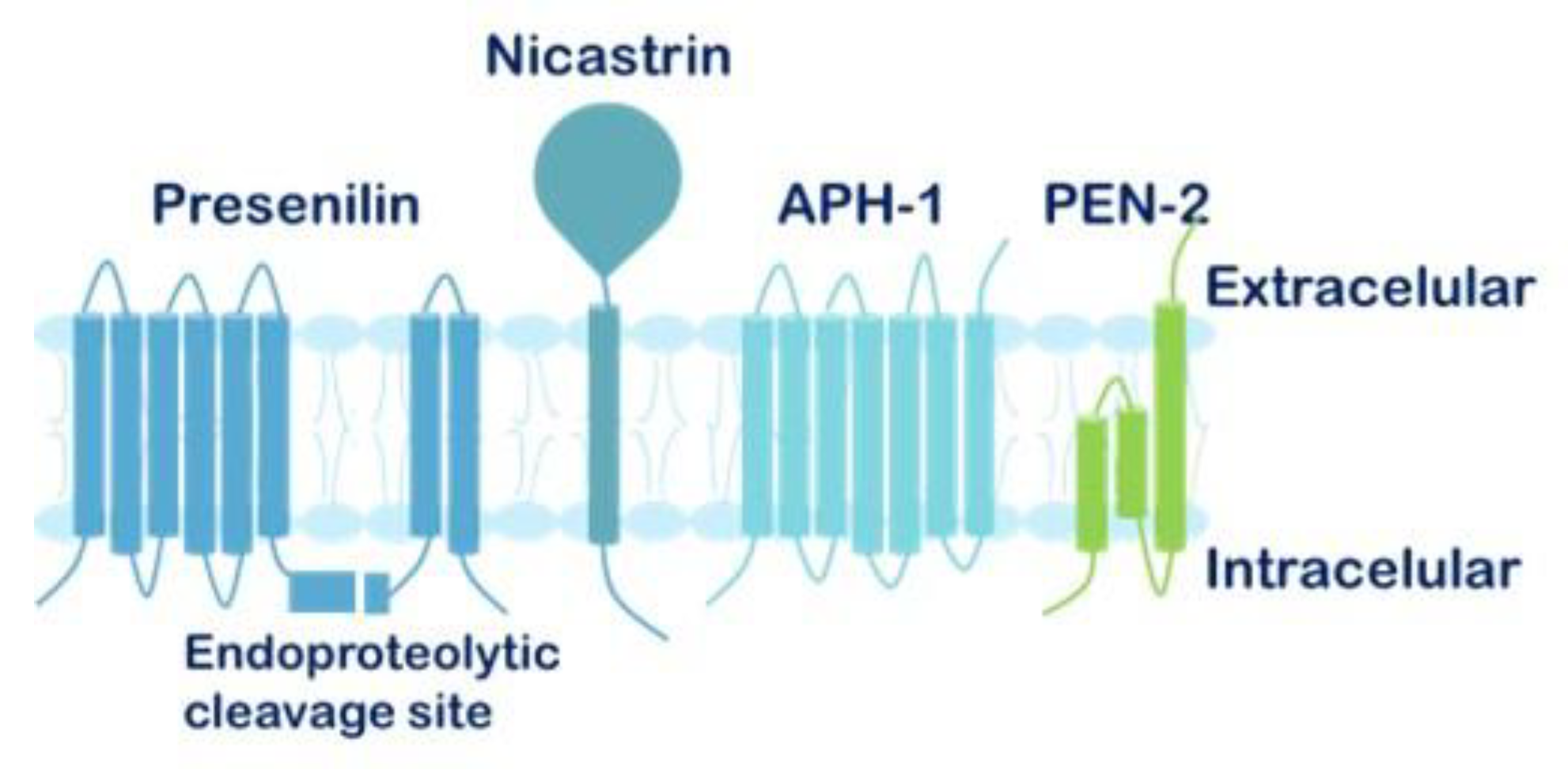 Preprints 190570 g006