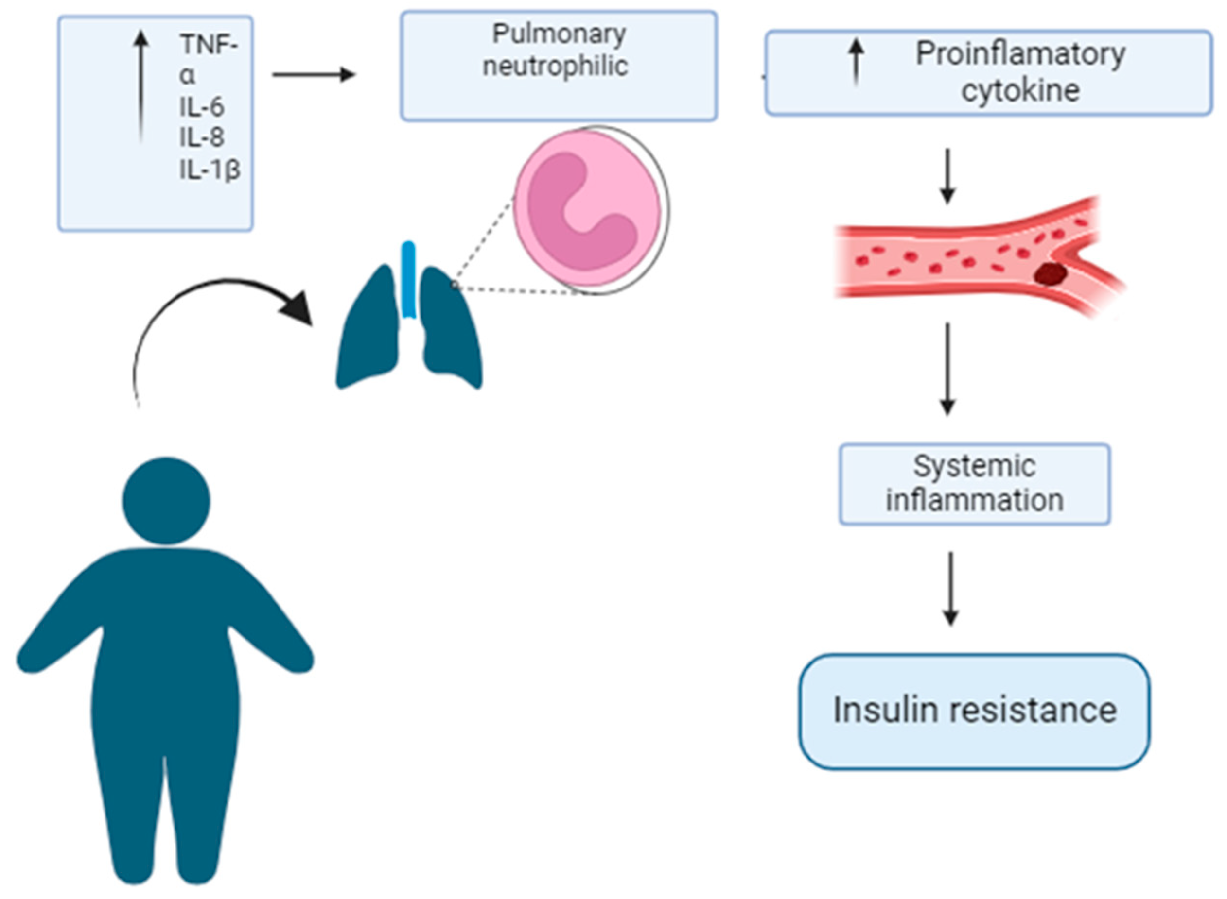 Preprints 160855 g001
